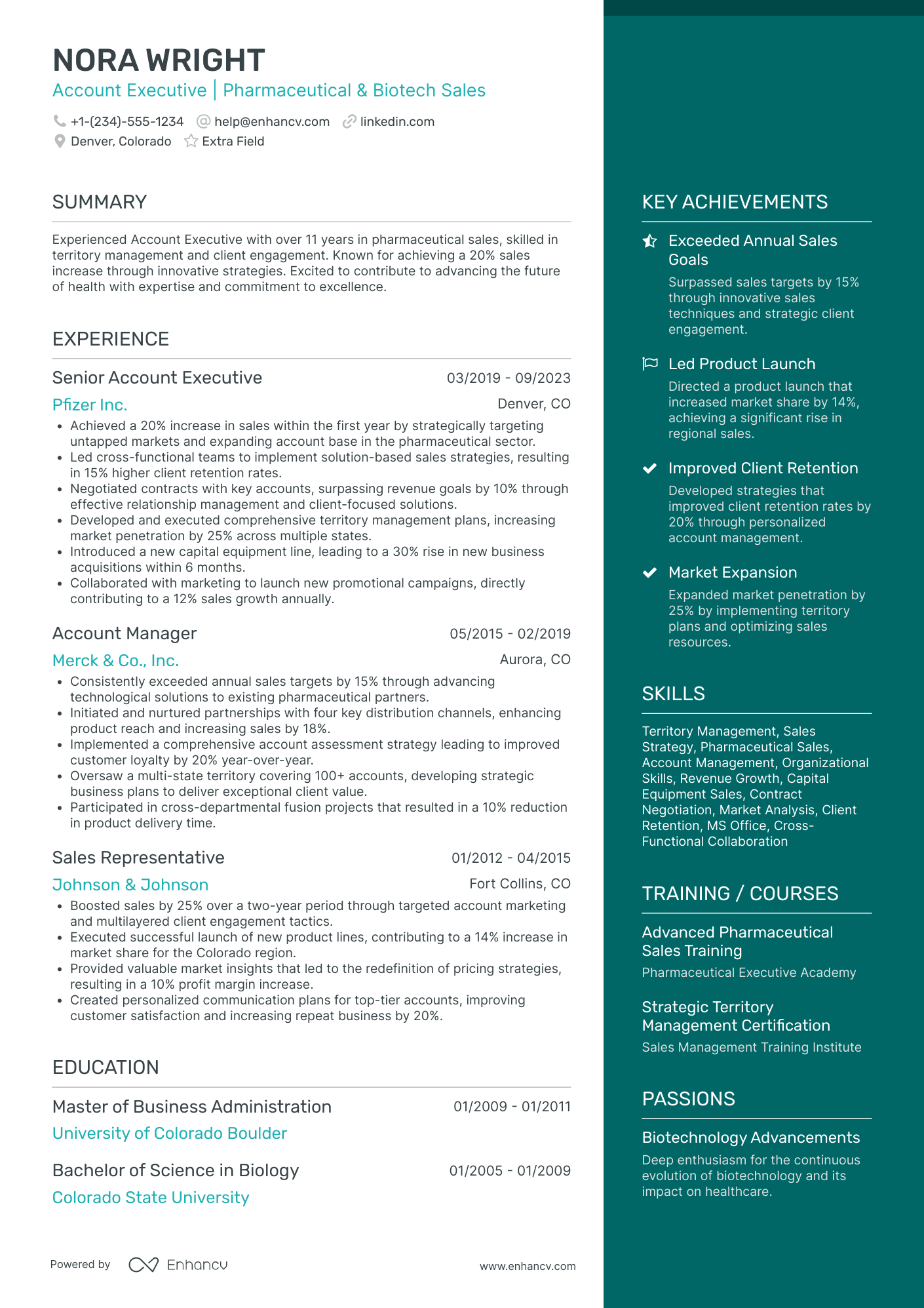 Pharmaceutical Account Executive Resume Example