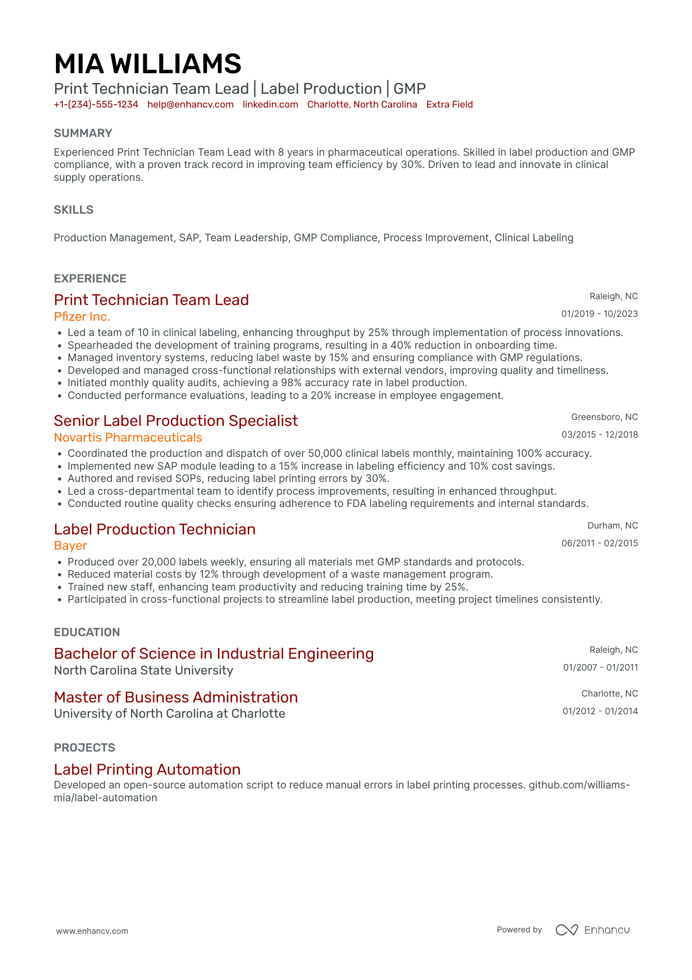 Data Center Technician Team Lead Resume Example