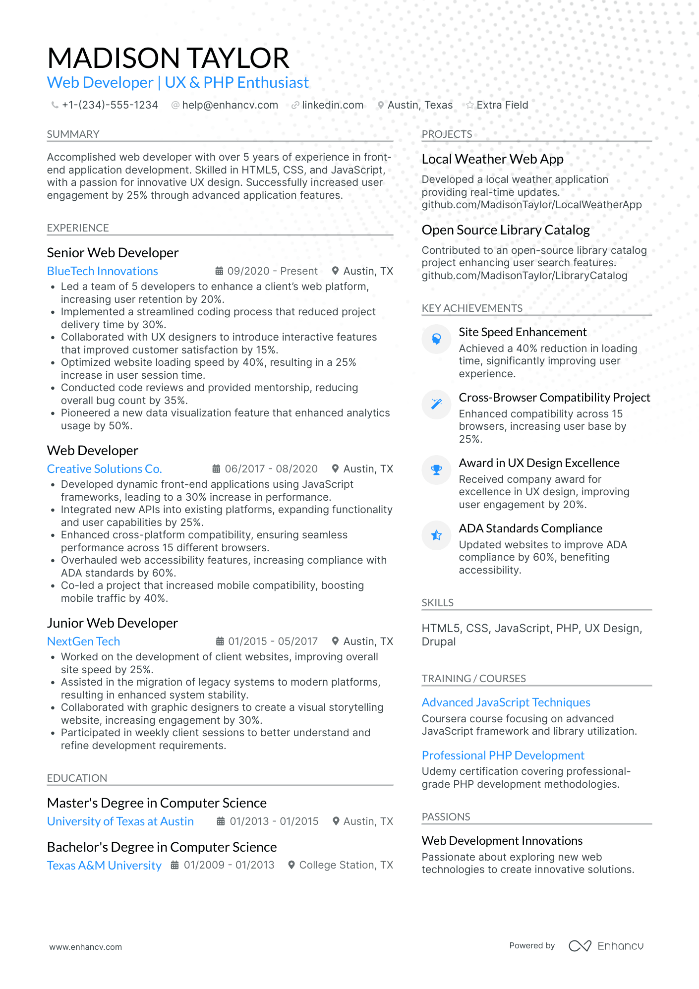 Web Developer Team Lead Resume Example