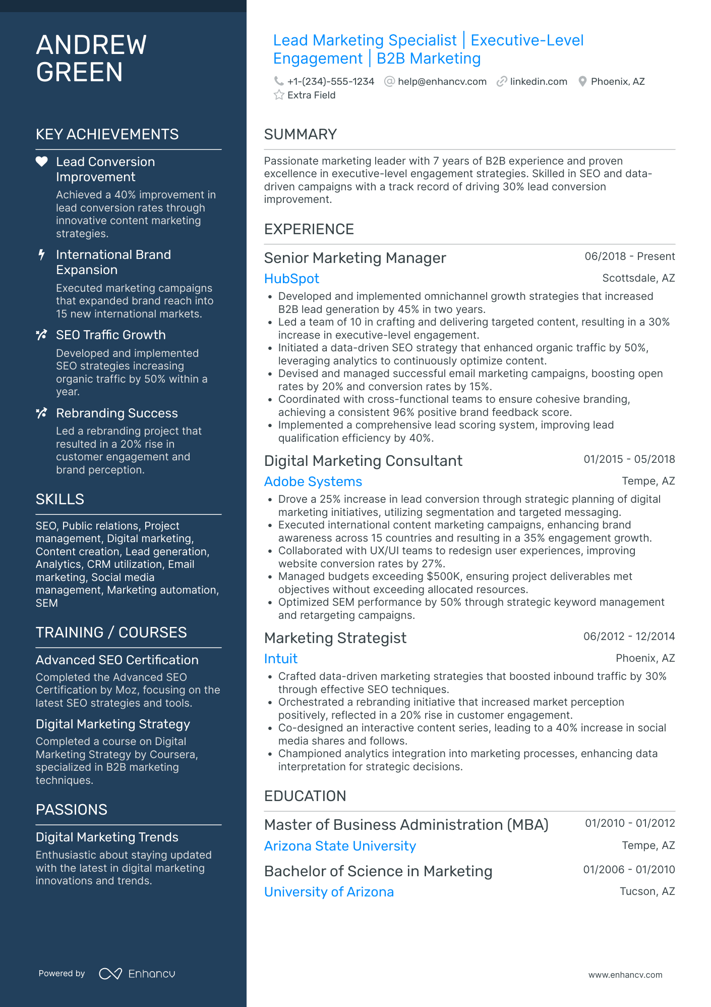 Lead Digital Marketing Executive Resume Example