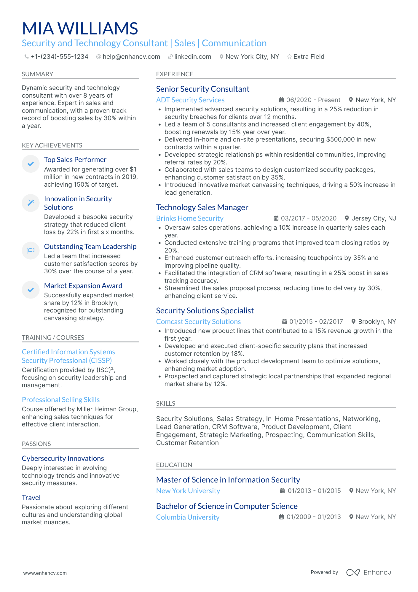 Technology Security Consultant Resume Example