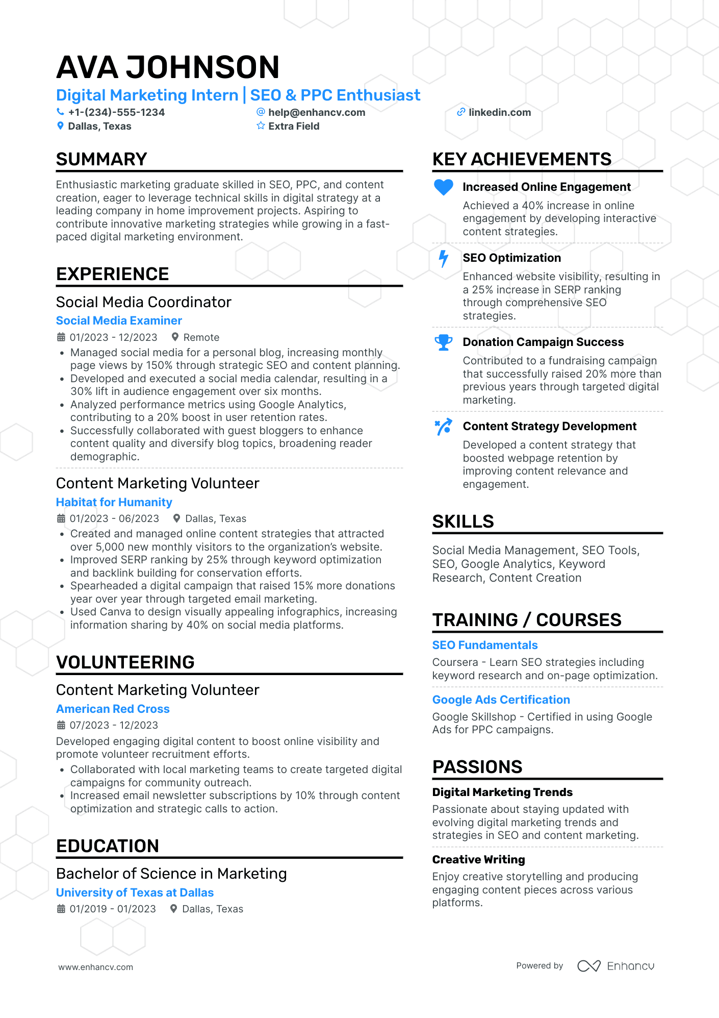 Social Media and SEO Intern Resume Example