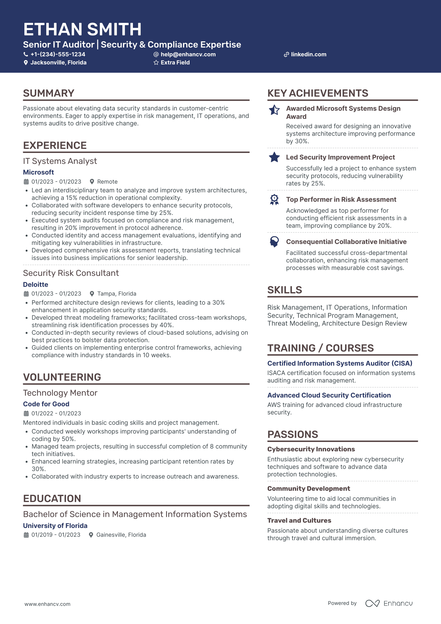 IT Internal Auditor Resume Example