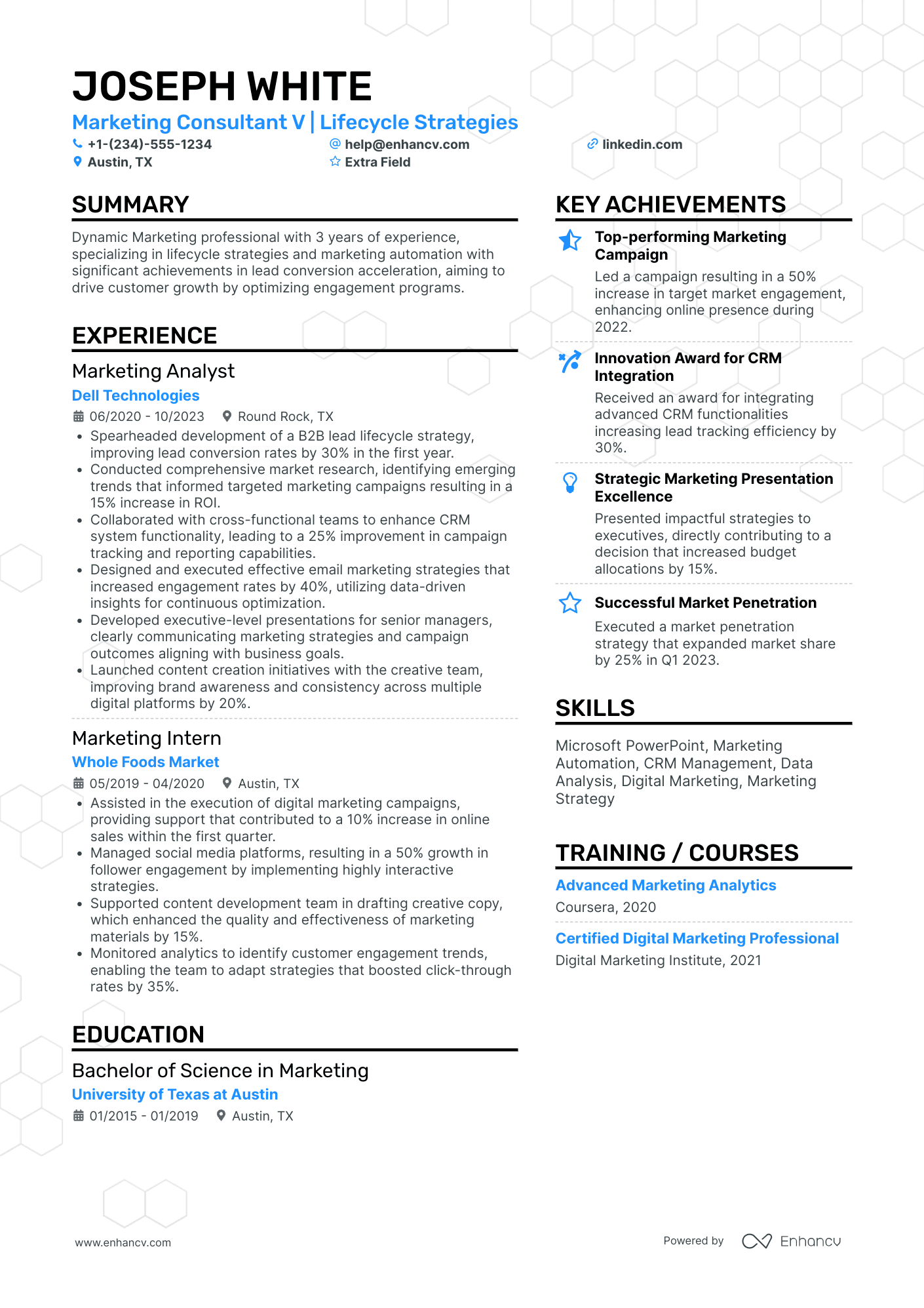 Junior Digital Marketing Consultant Resume Example