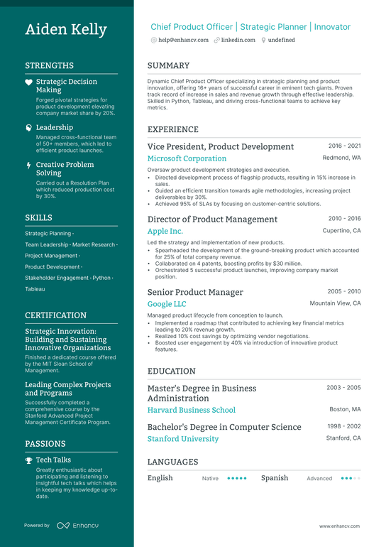 Chief Product Officer Resume Example