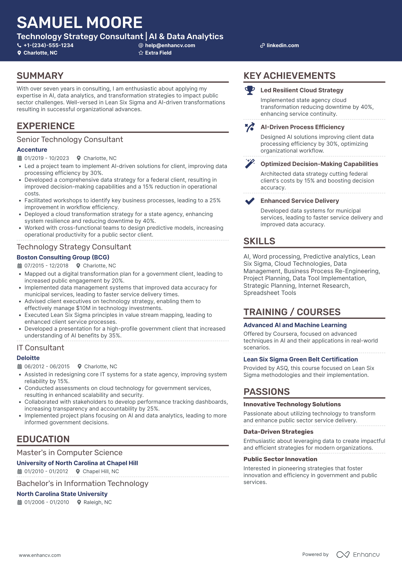 Technology Strategy Consultant Resume Example