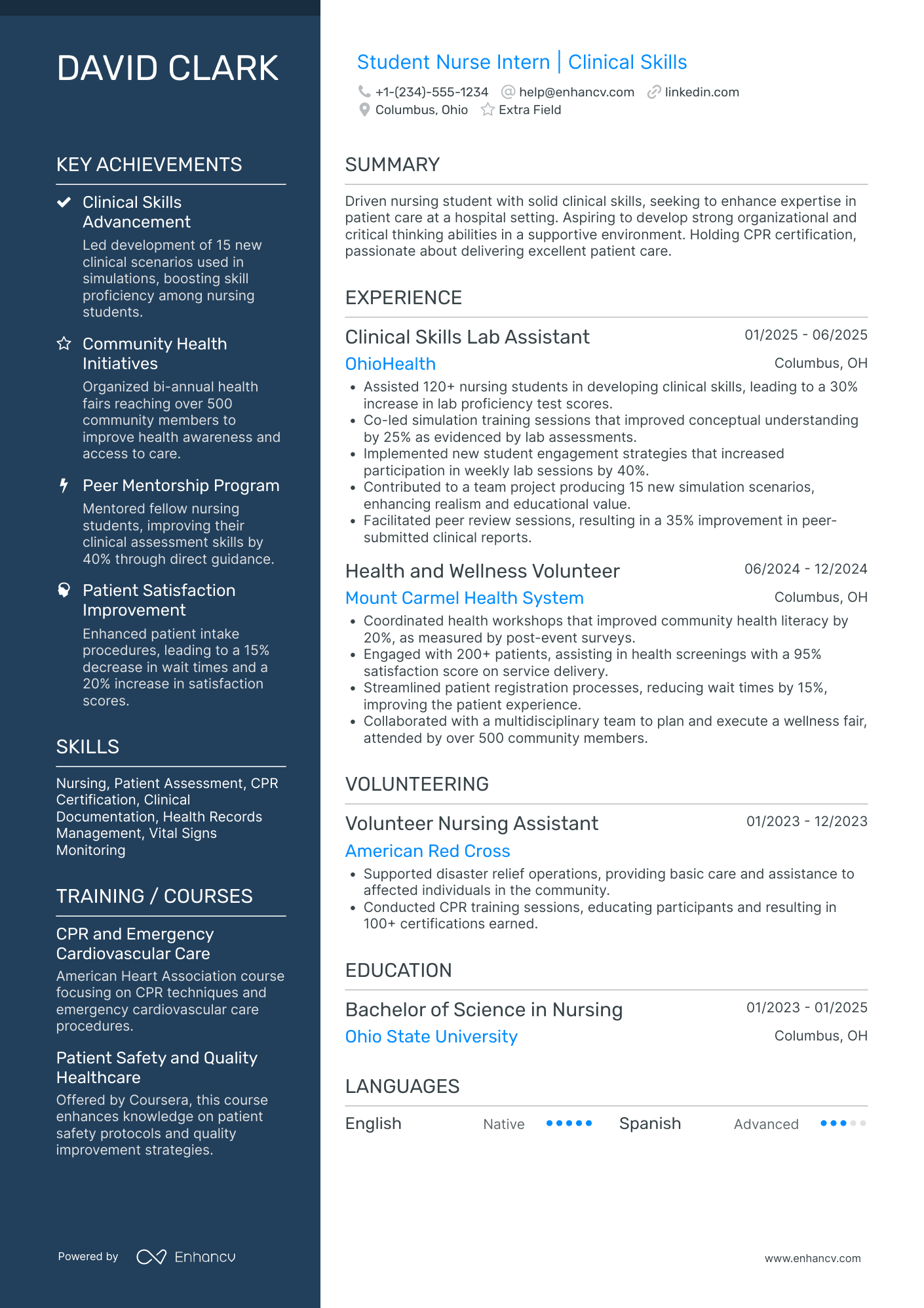 Nursing Student Summer Internship Resume Example