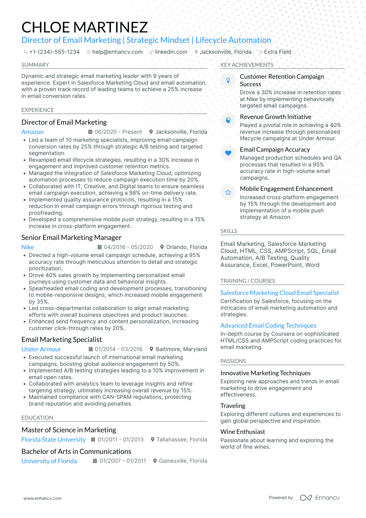 Email Marketing Director Resume Example