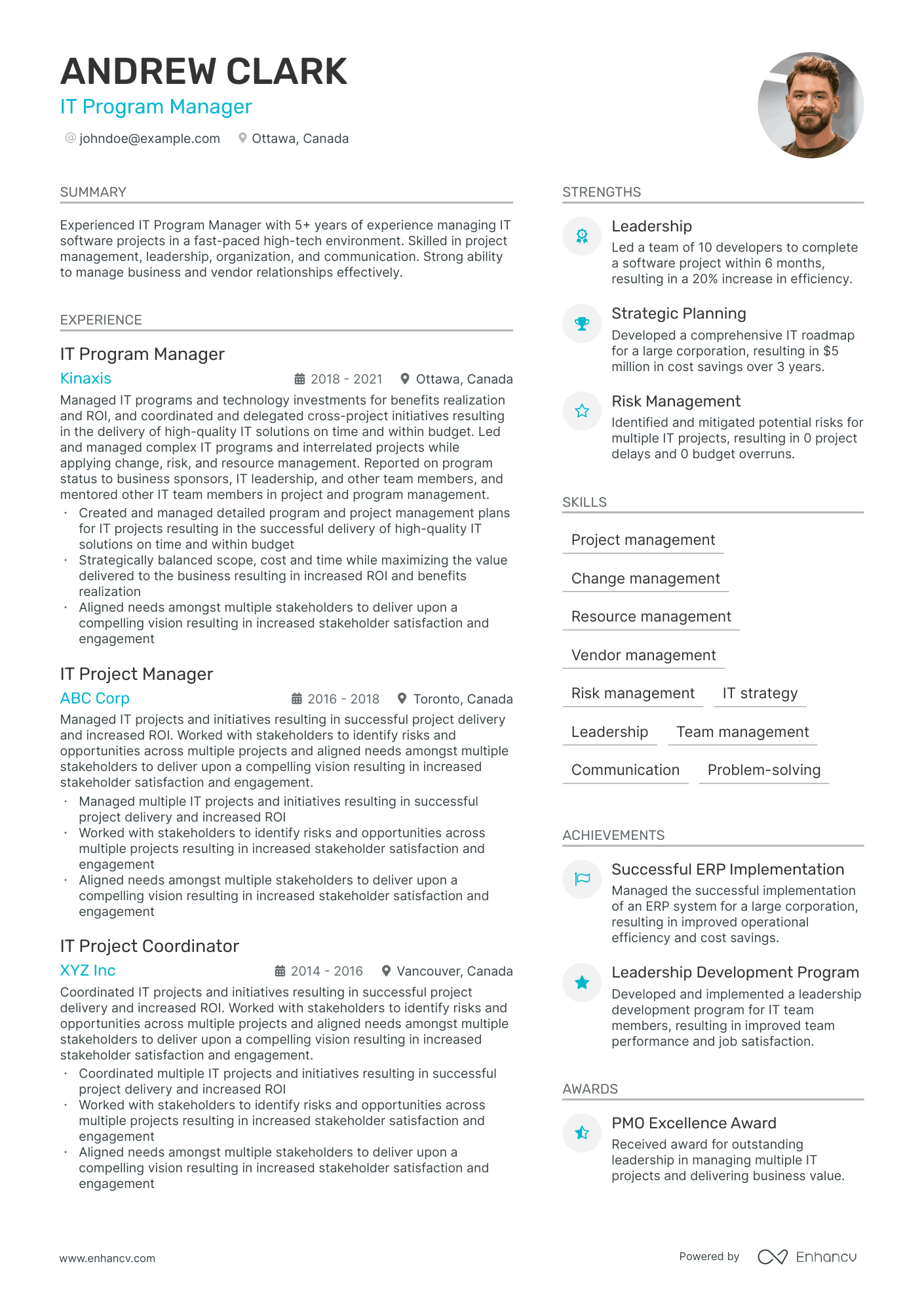 IT Program Manager Resume Example