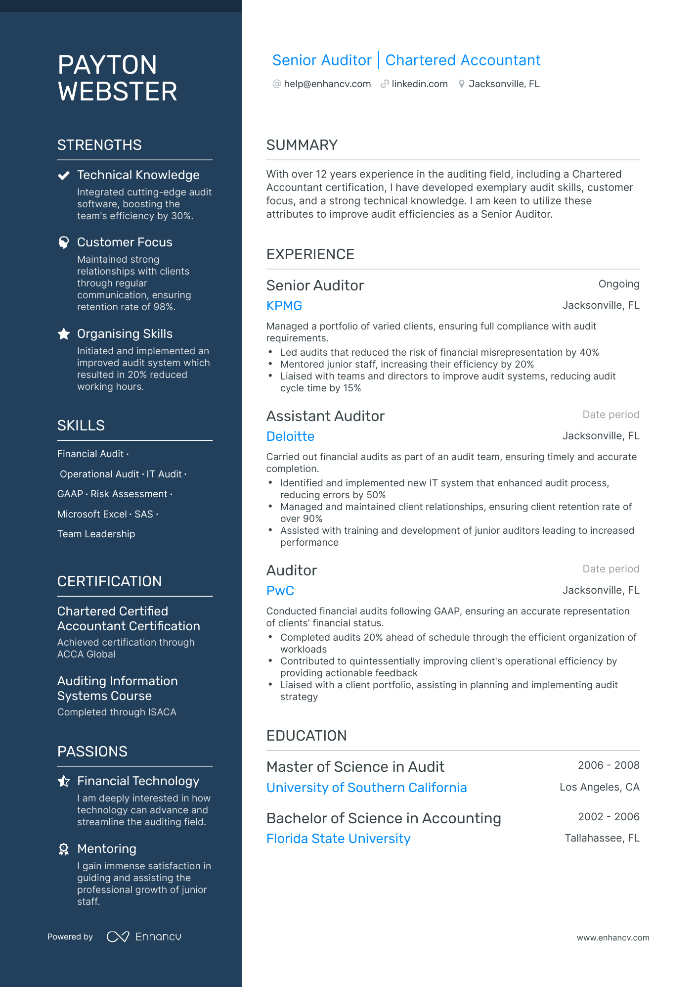 Senior Auditor Resume Example