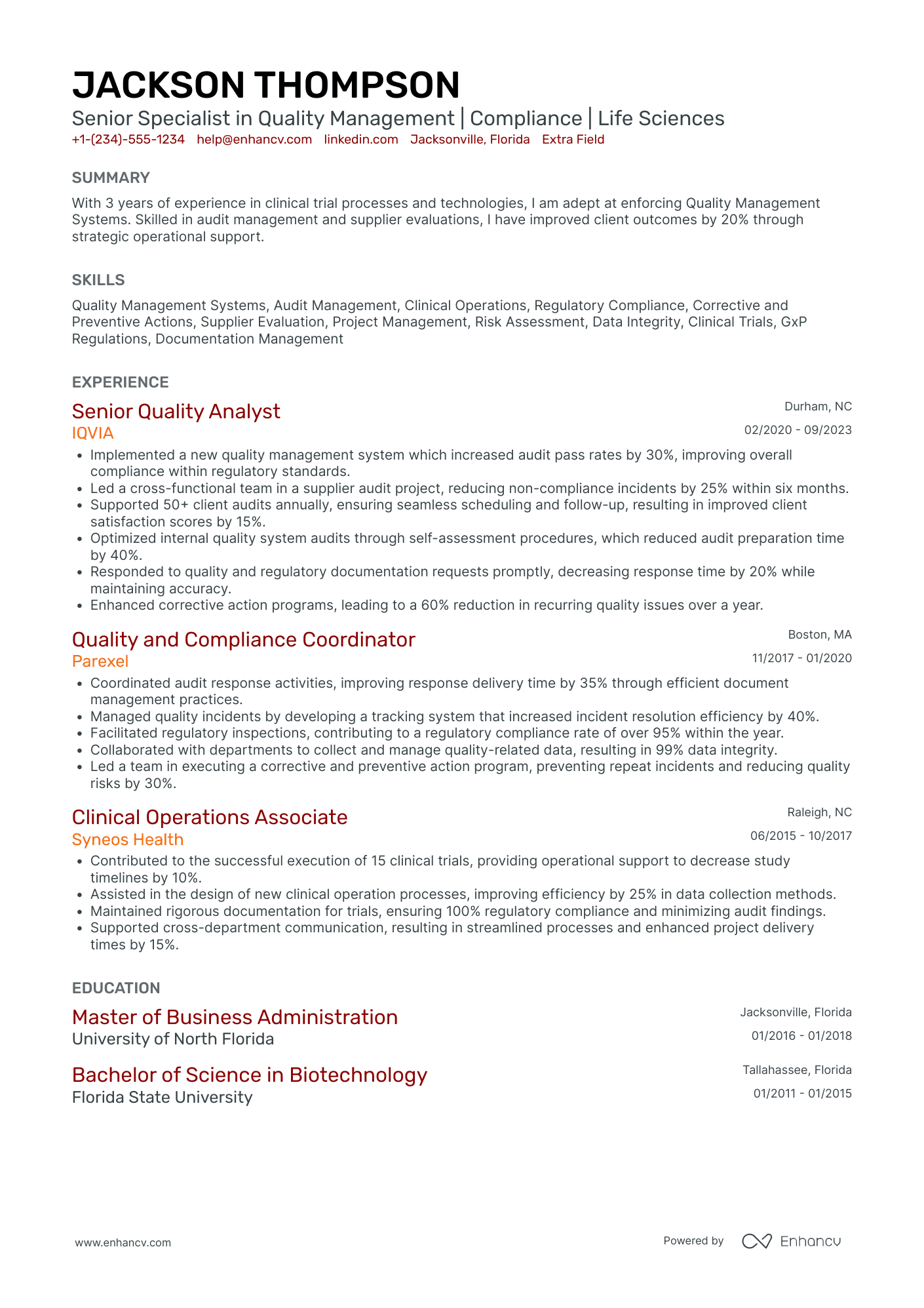 IT Audit Senior Specialist Resume Example