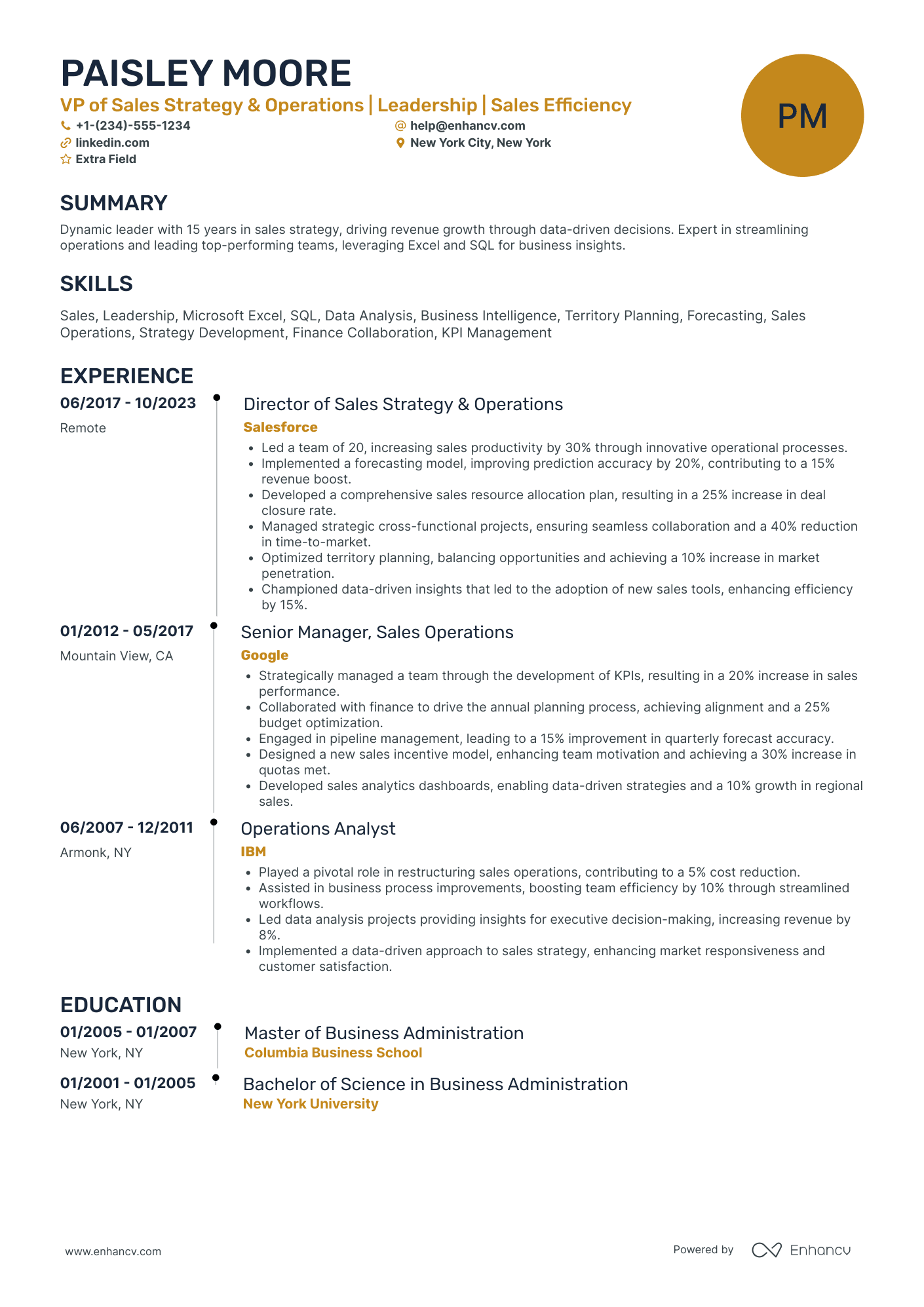 VP of International Sales Resume Example