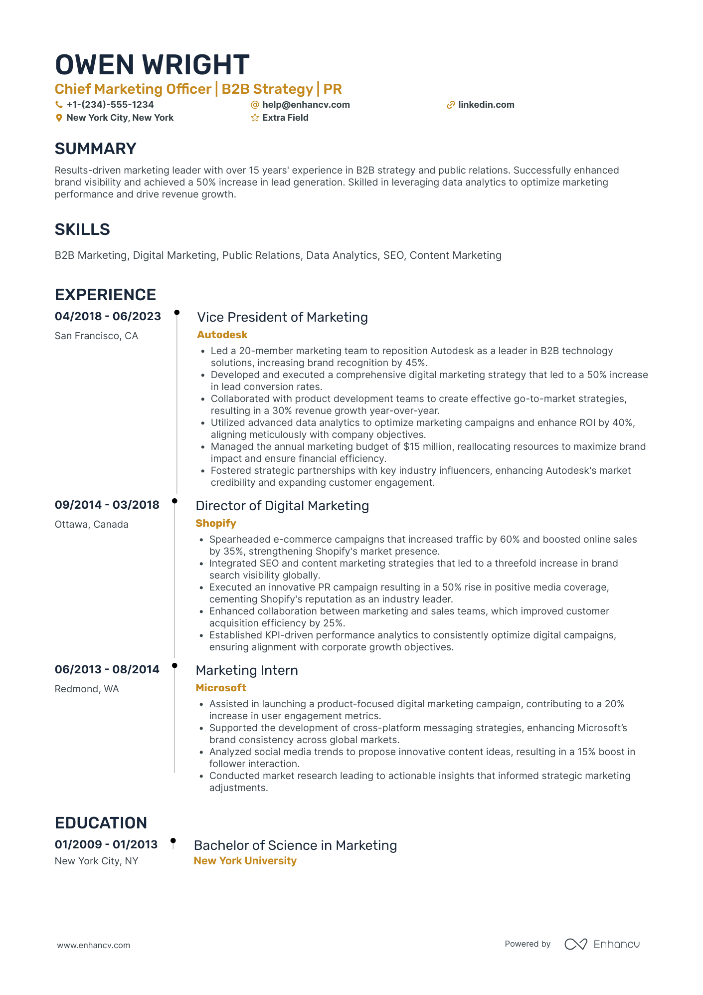 Junior Chief Marketing Officer Resume Example