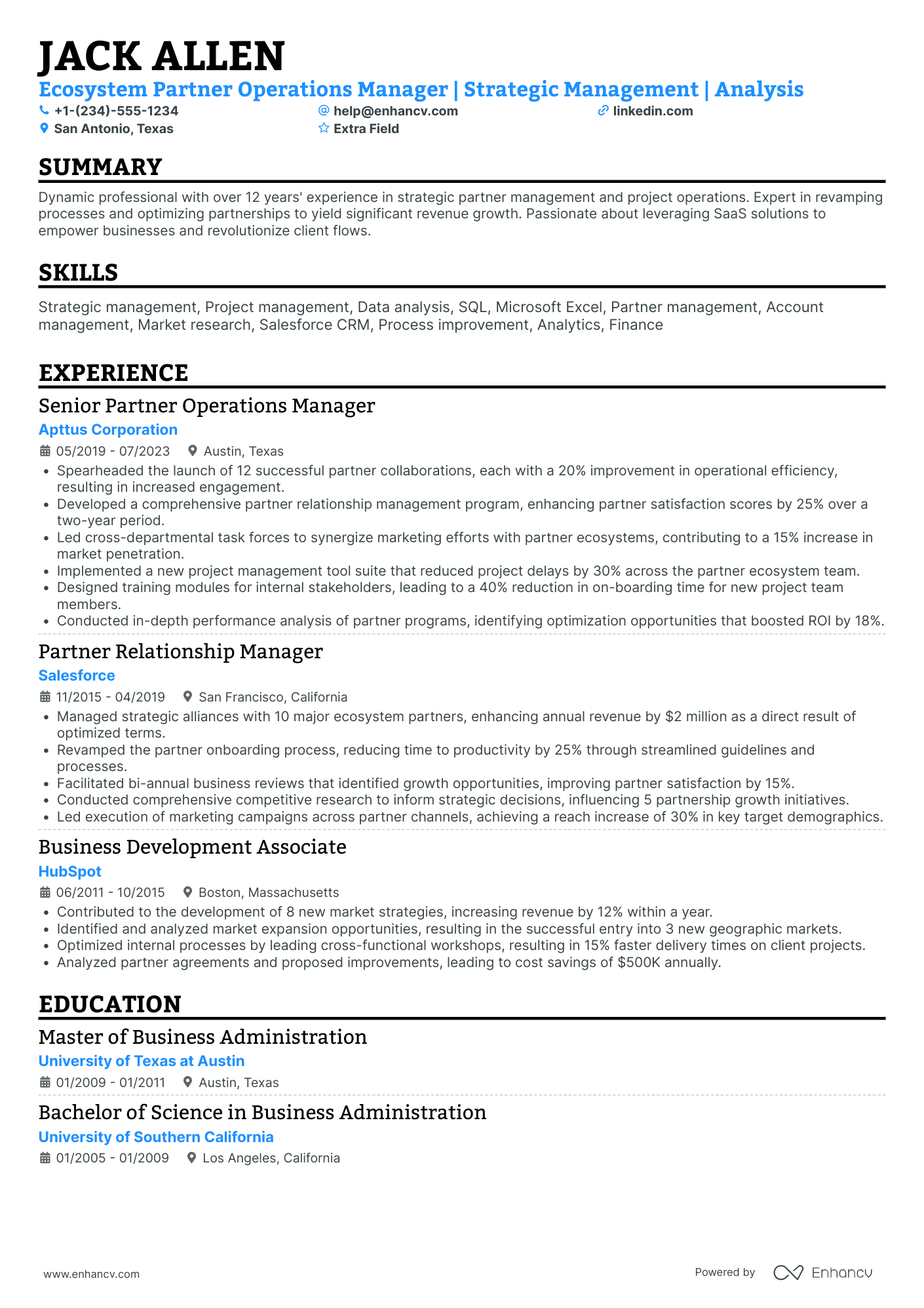 Independent Business Owner Resume Example