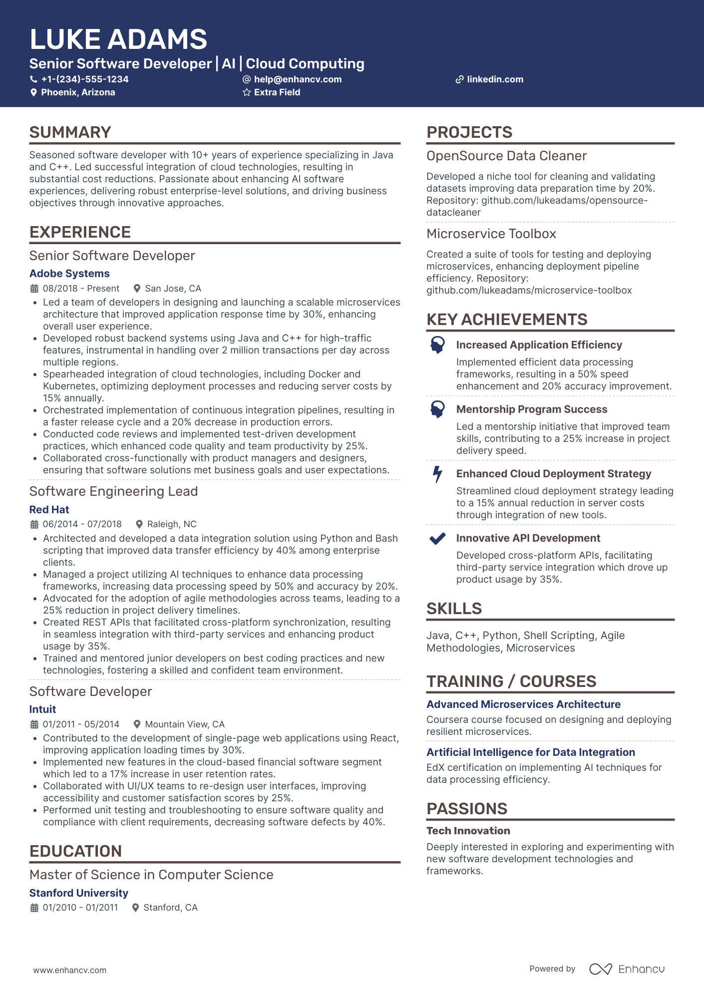 Blockchain Application Developer Resume Example