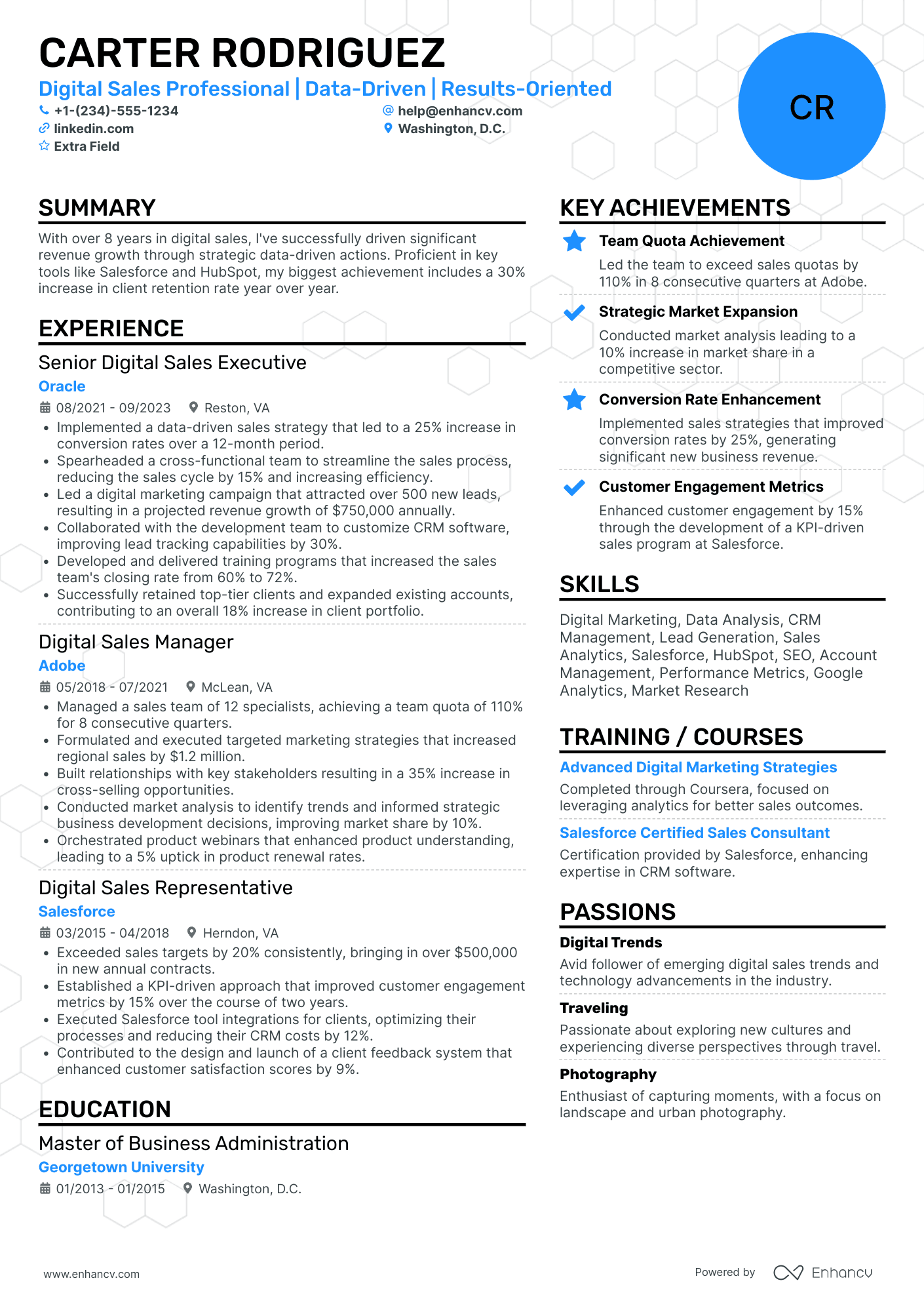 Digital Sales Professional Resume Example