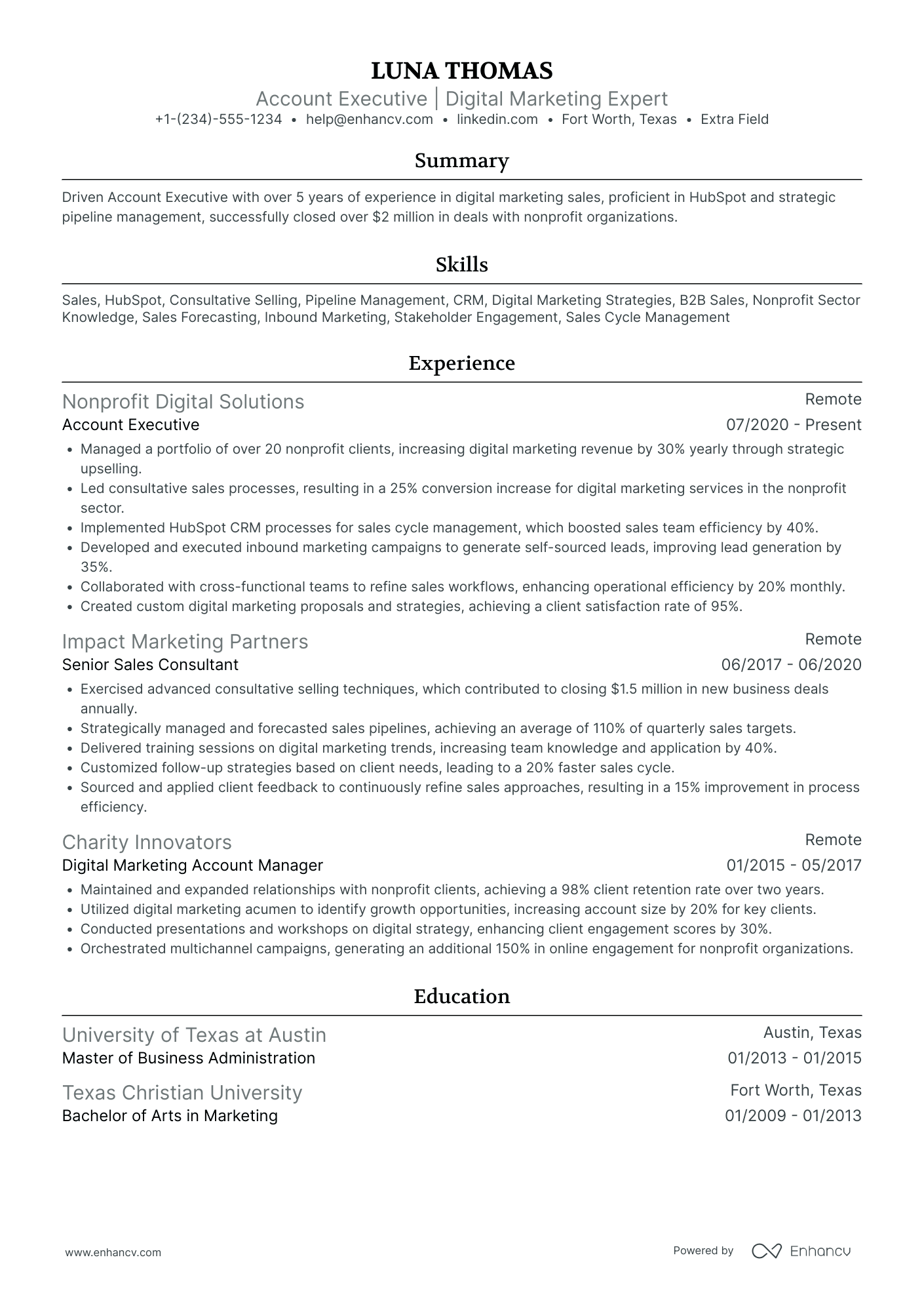 Digital Marketing Account Executive Resume Example