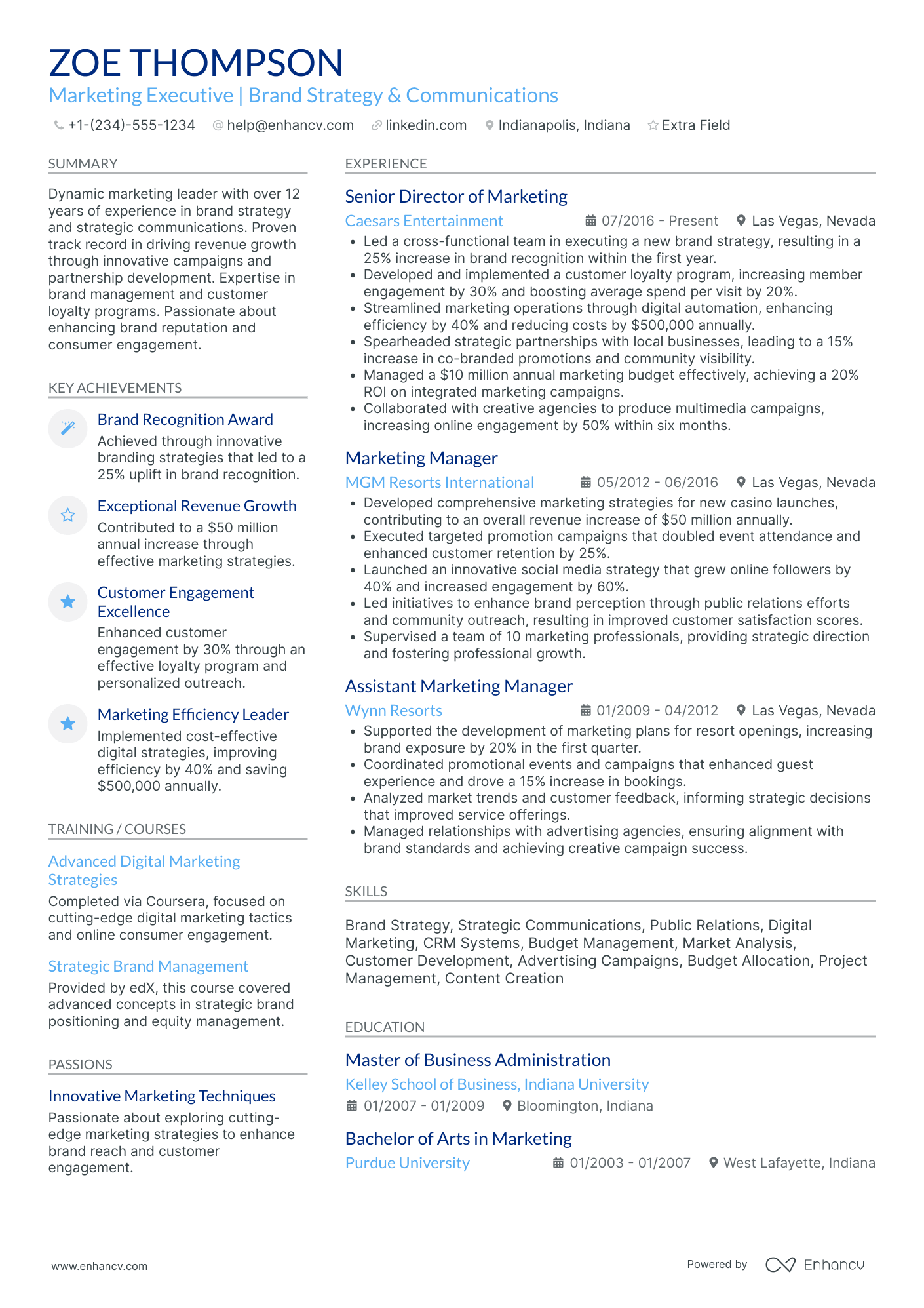 VP Marketing and Public Relations Resume Example