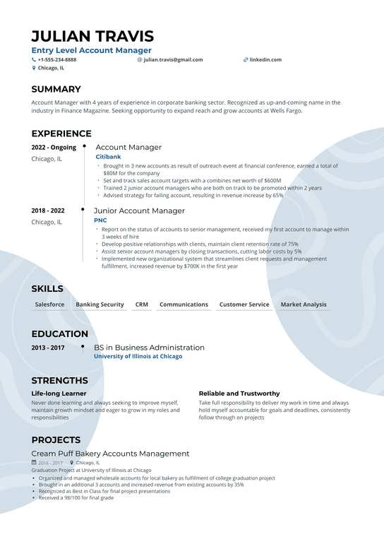 Entry level Account Manager Resume Example