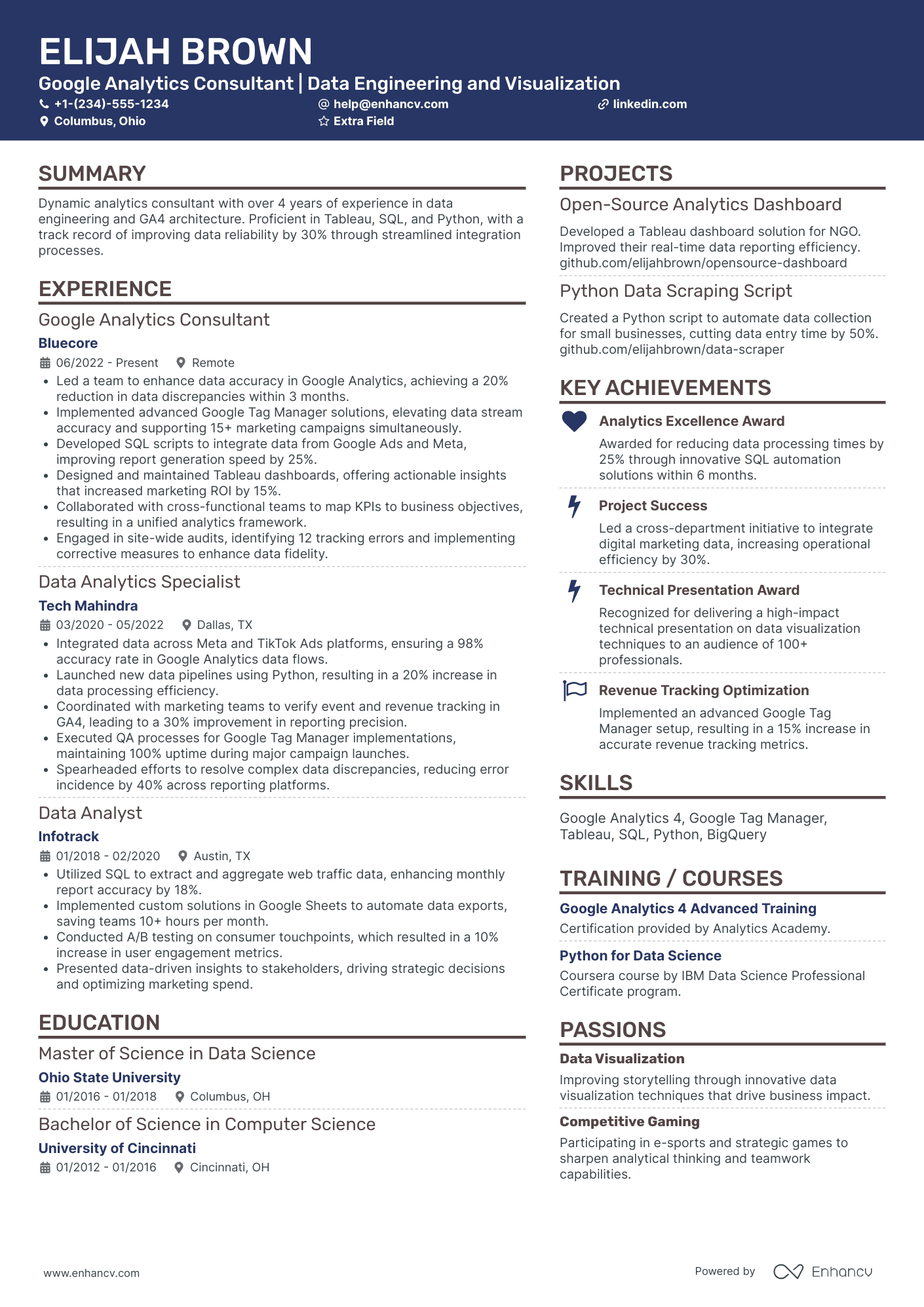 Google Analytics Consultant Resume Example