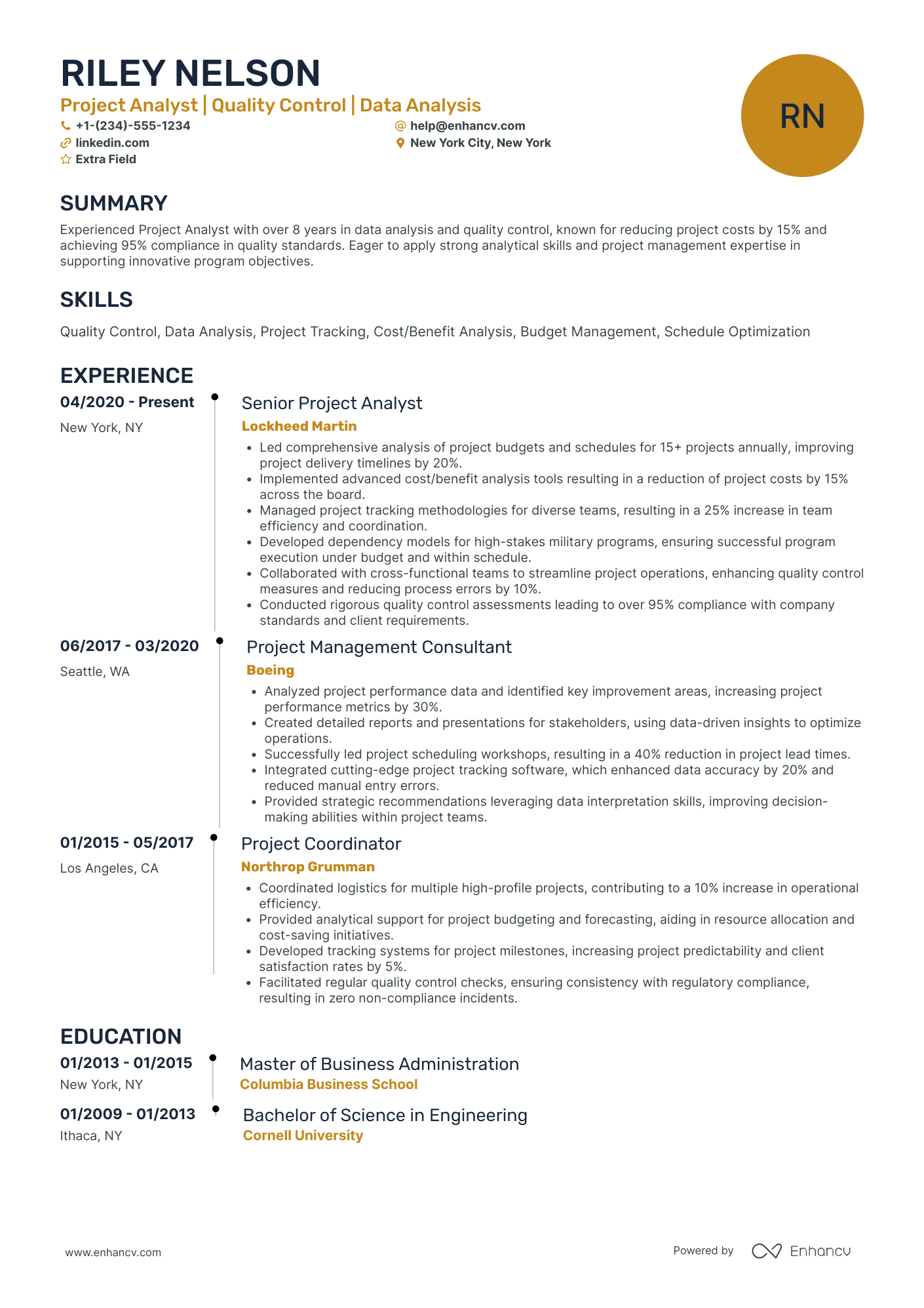 Retail Project Analyst Resume Example