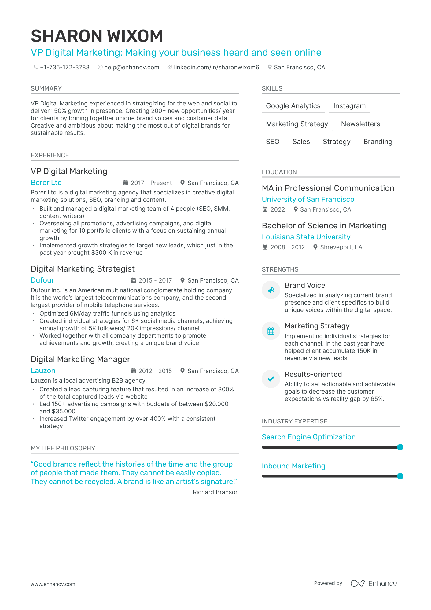 VP Digital Marketing Resume Example