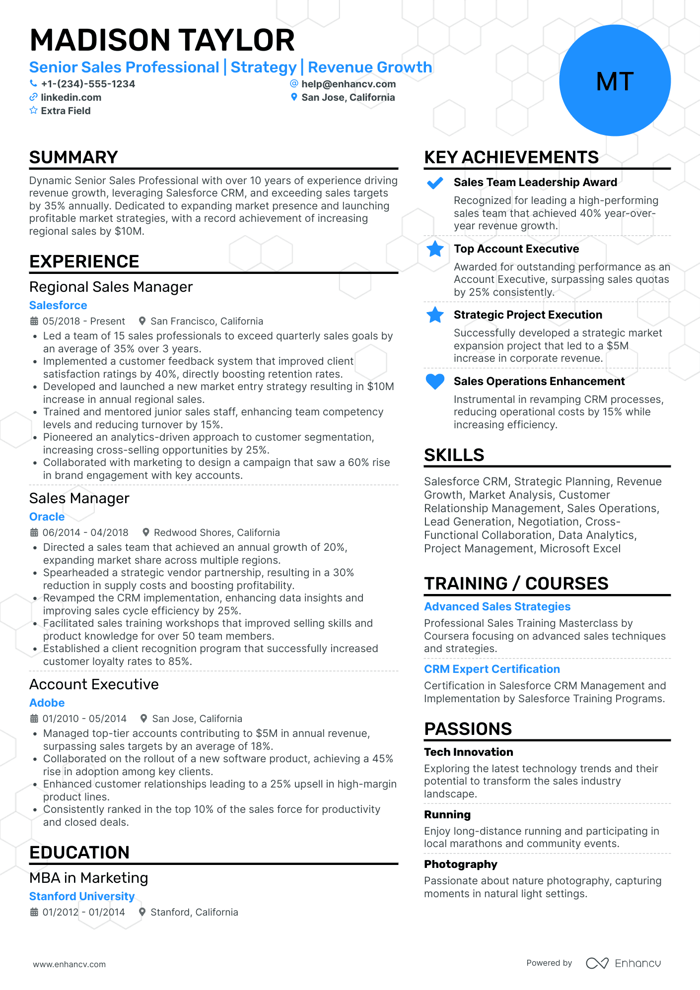 Senior Sales Professional Resume Example