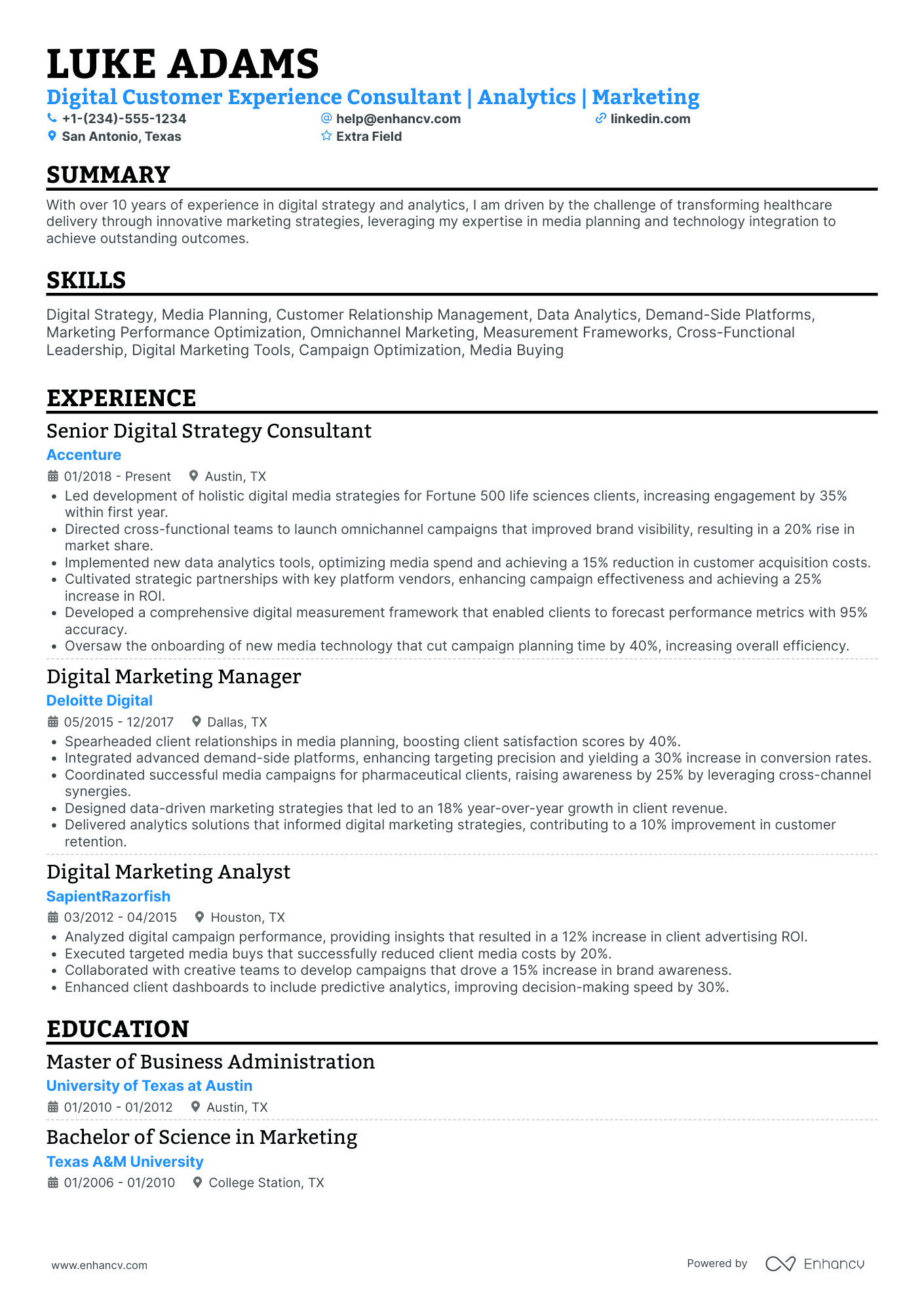 Digital Marketing Analytics Consultant Resume Example