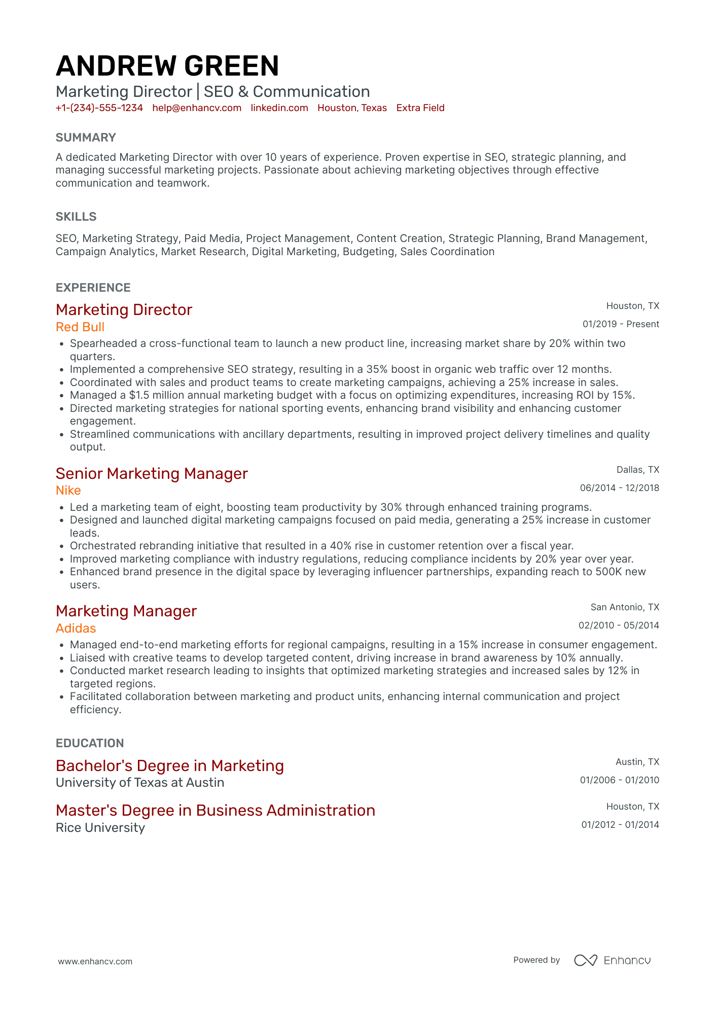 Direct Marketing Manager Resume Example