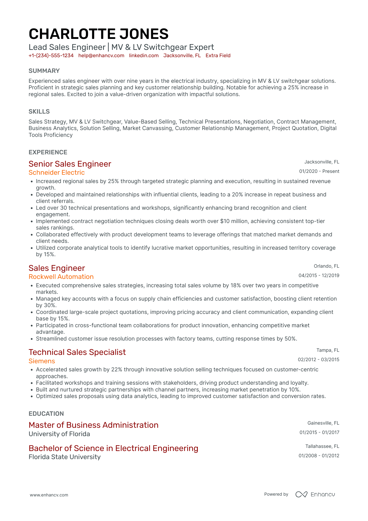 Lead Sales Engineer Resume Example