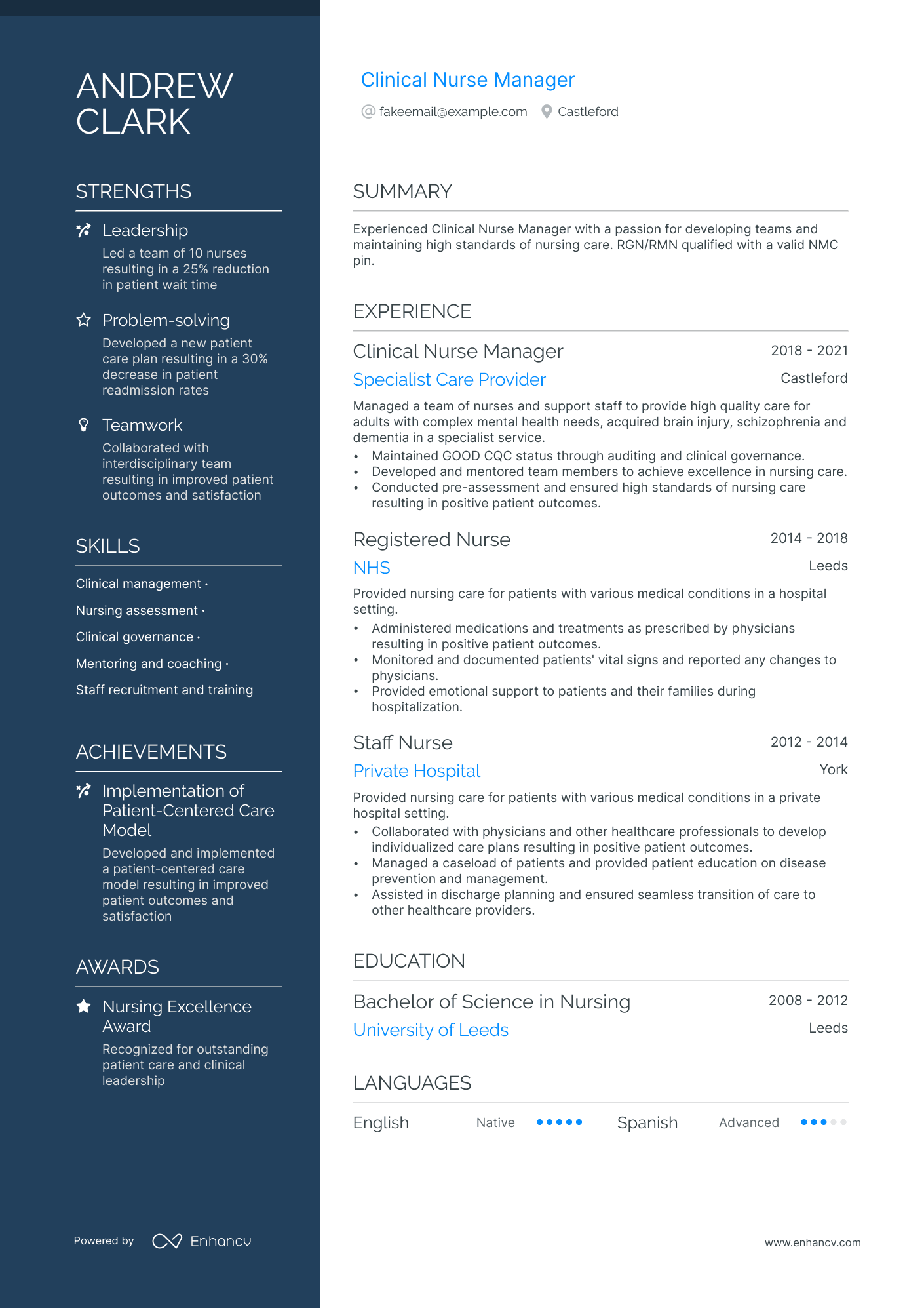 Clinical Nurse Manager Resume Example