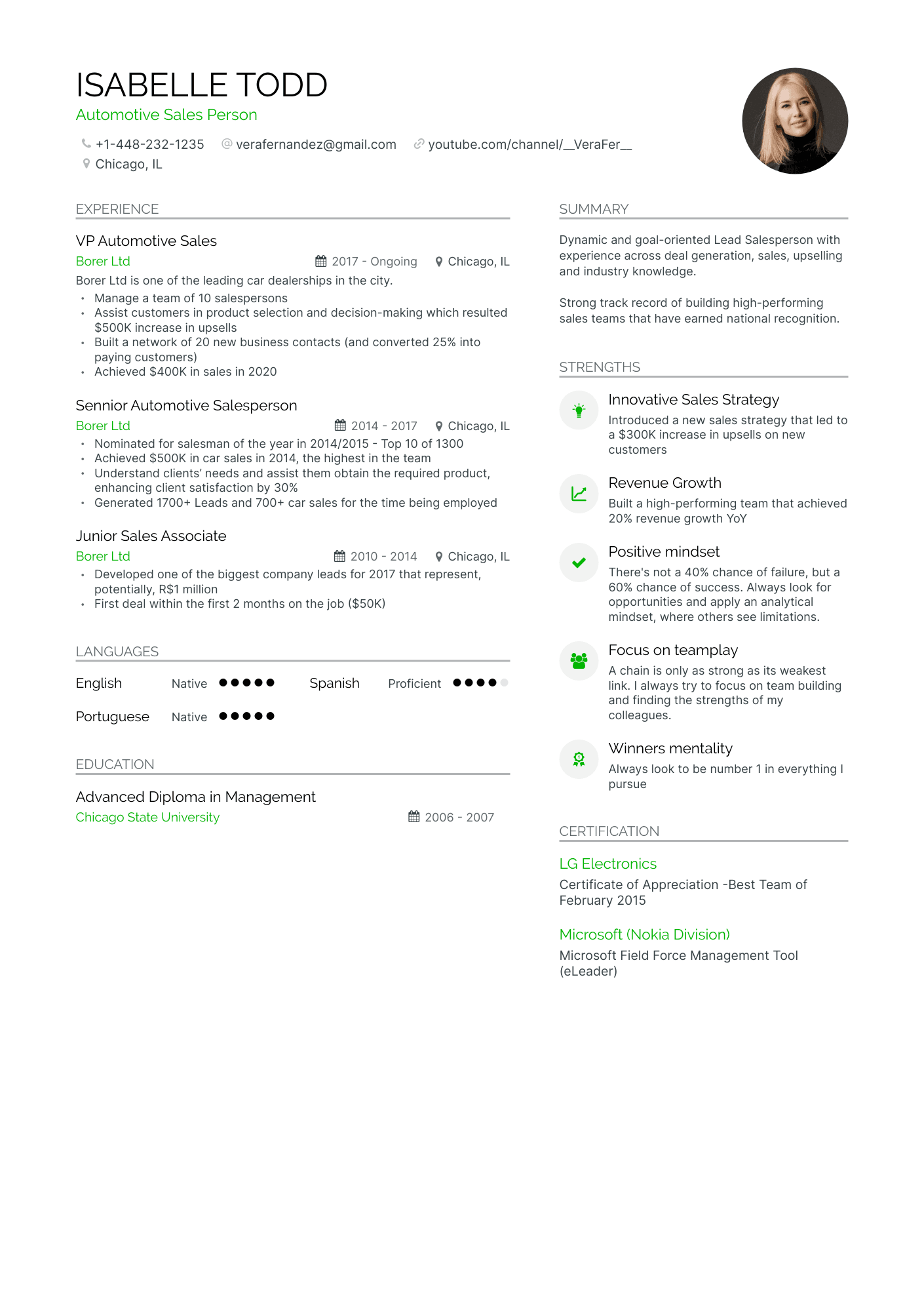 Sales Manager Resume Example