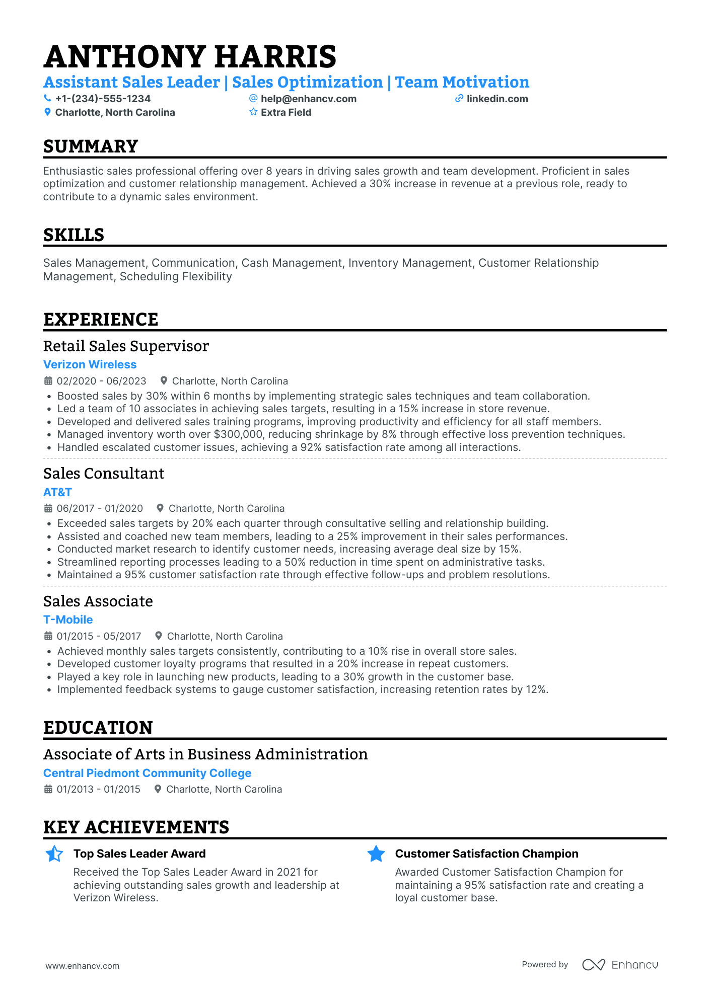 Lead Sales Assistant Resume Example