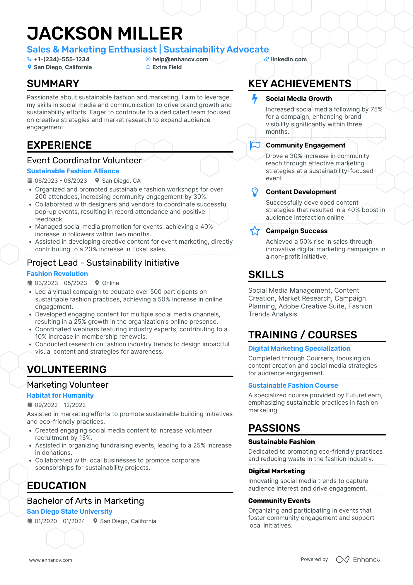 Fashion Stylist Intern Resume Example