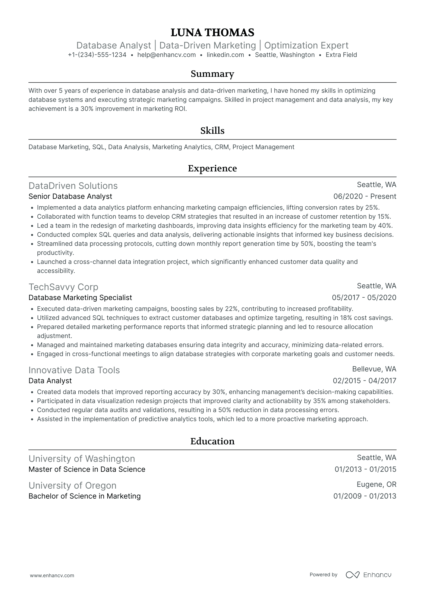 Database System Analyst Resume Example