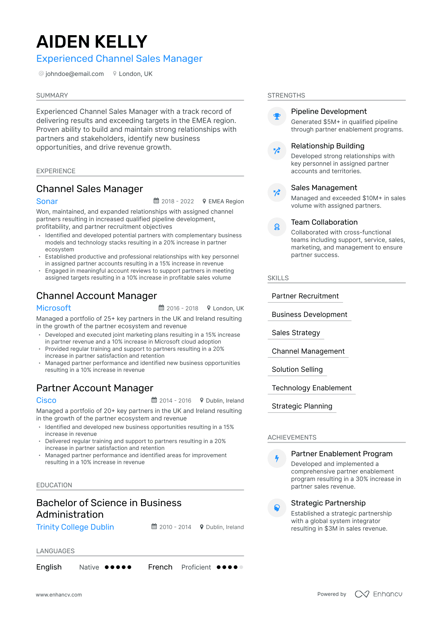 Channel Sales Manager Resume Example