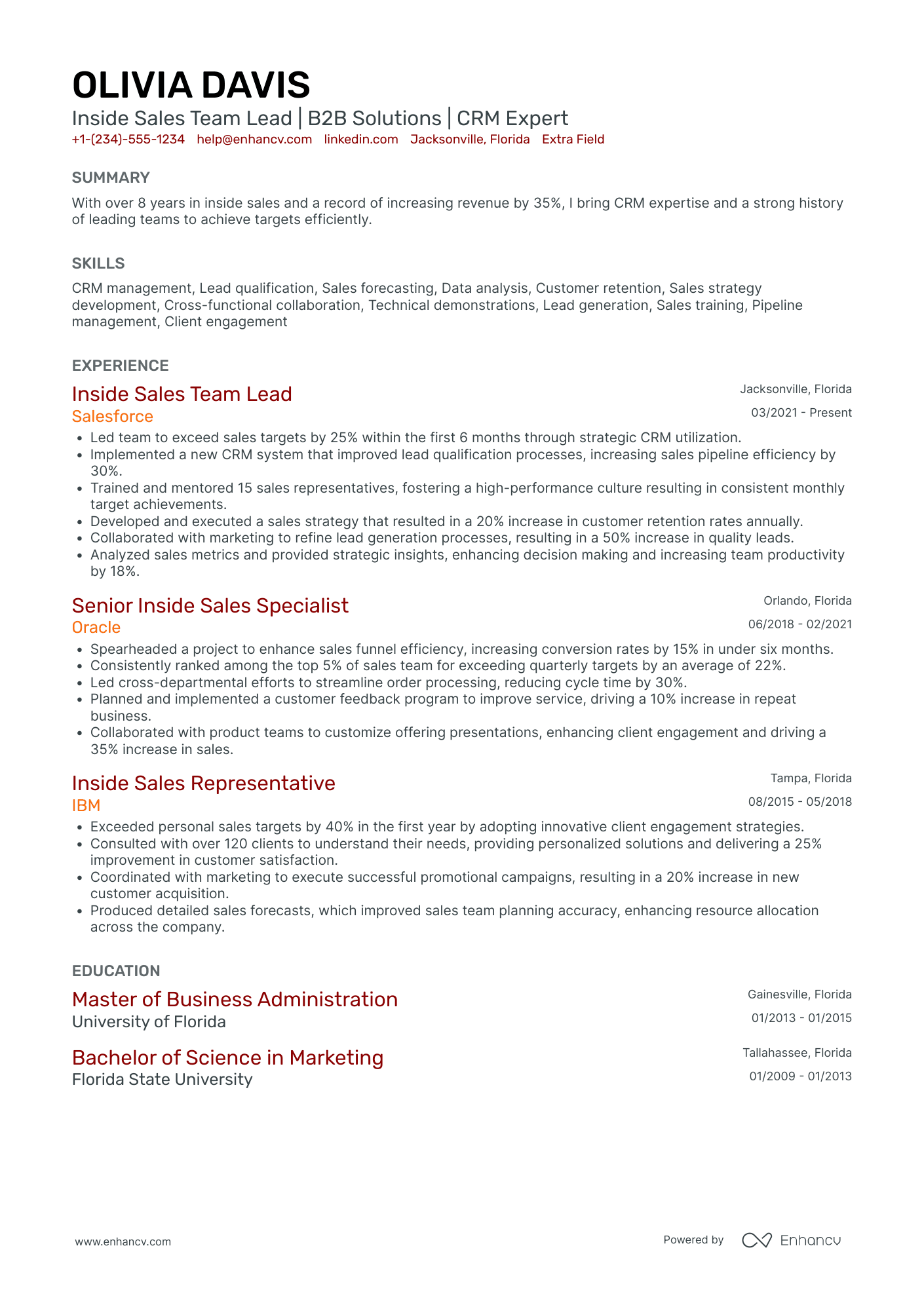 Inside Sales Team Lead Resume Example