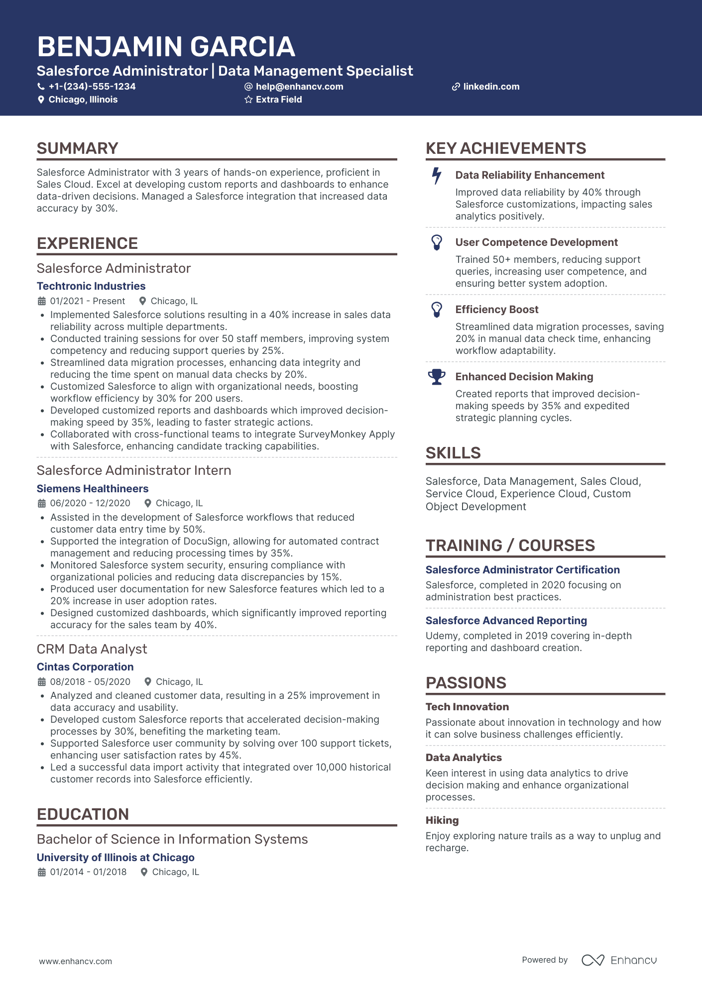 Junior Salesforce Administrator Resume Example