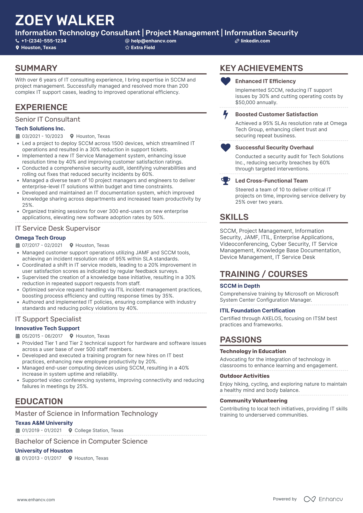 Technology Project Consultant Resume Example