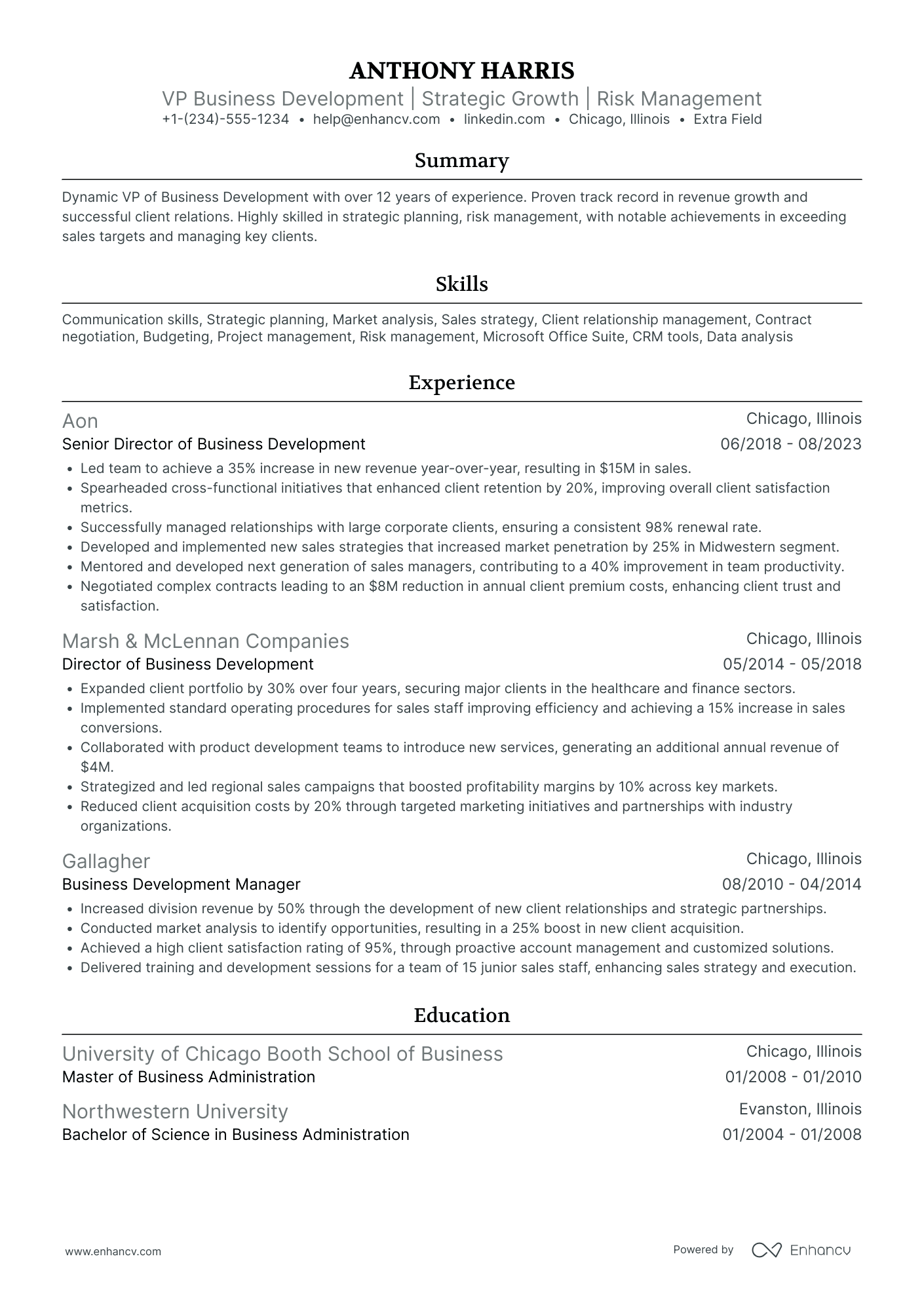 Vice President of Business Development Resume Example