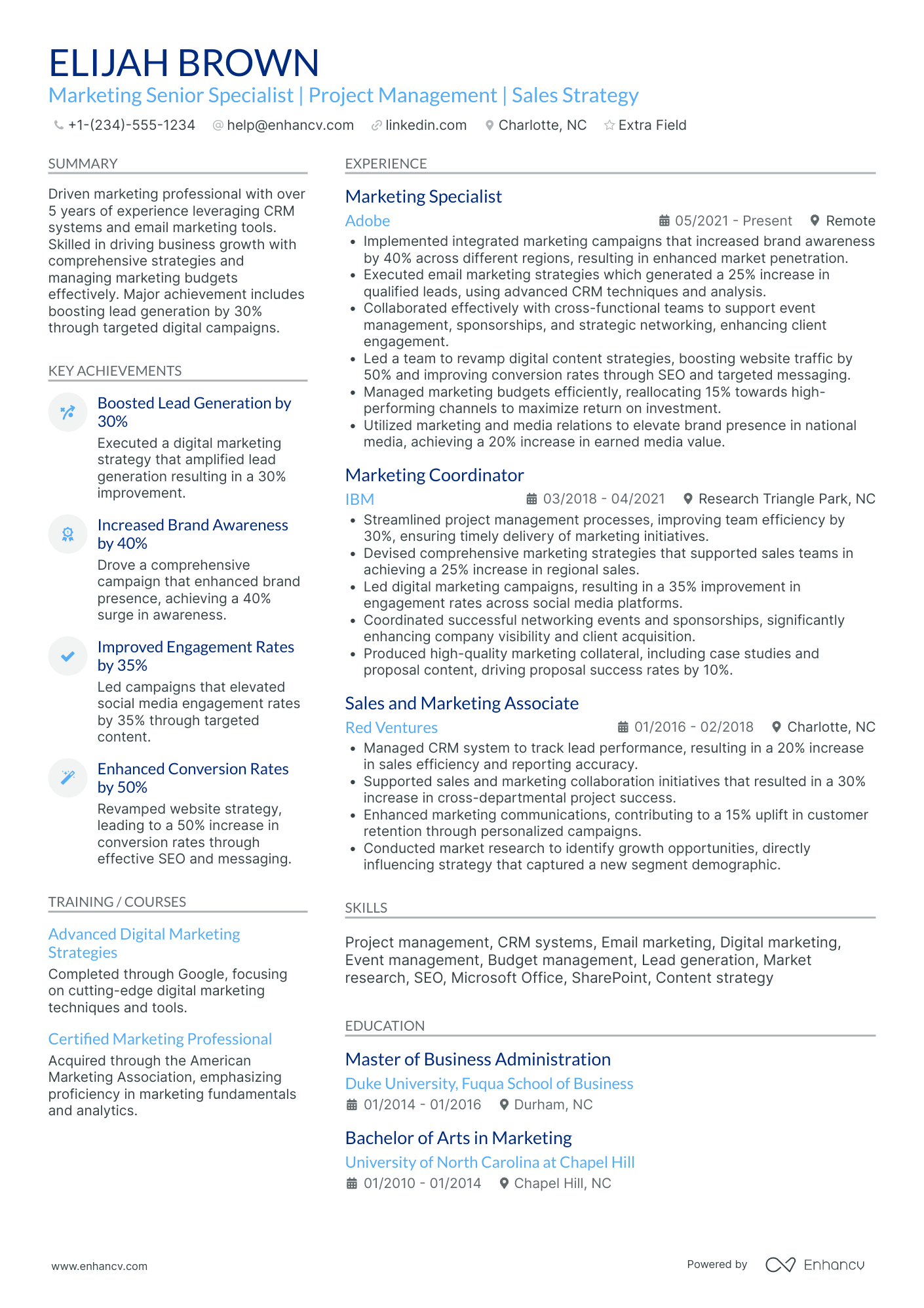 Senior Digital Marketing Executive Resume Example