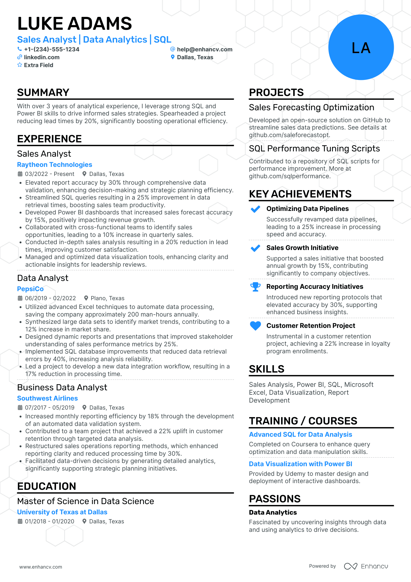 Sales Data Analyst Resume Example