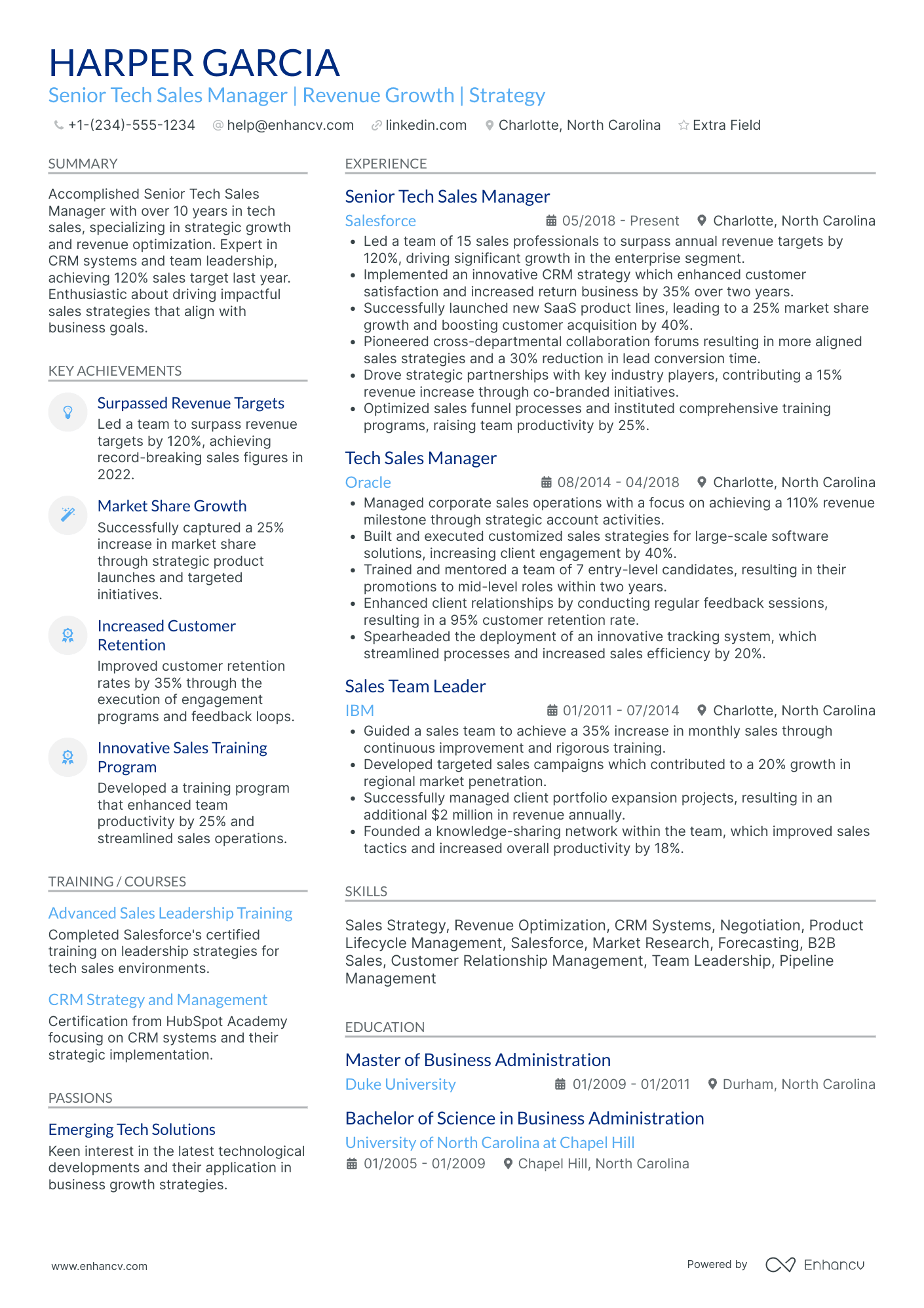 Senior Tech Sales Manager Resume Example