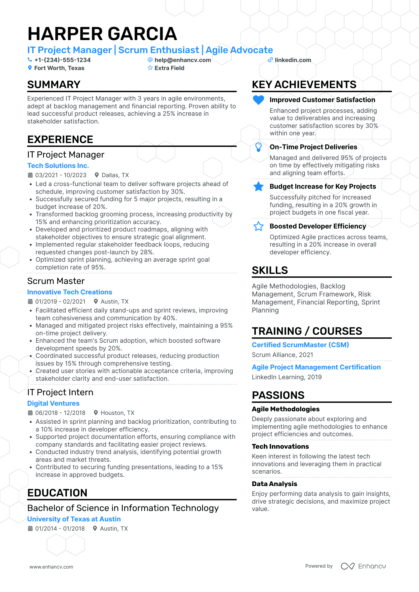 Junior IT Project Manager Resume Example