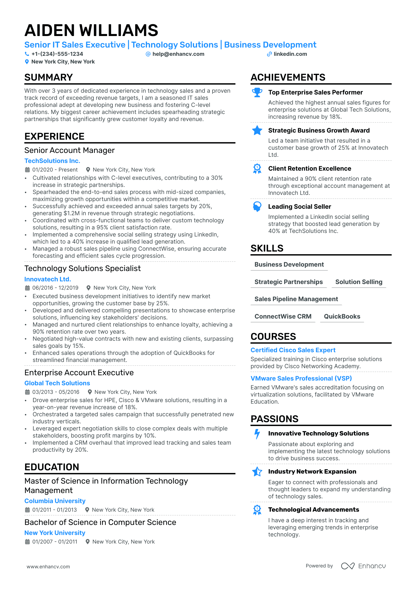 IT Sales Executive Resume Example