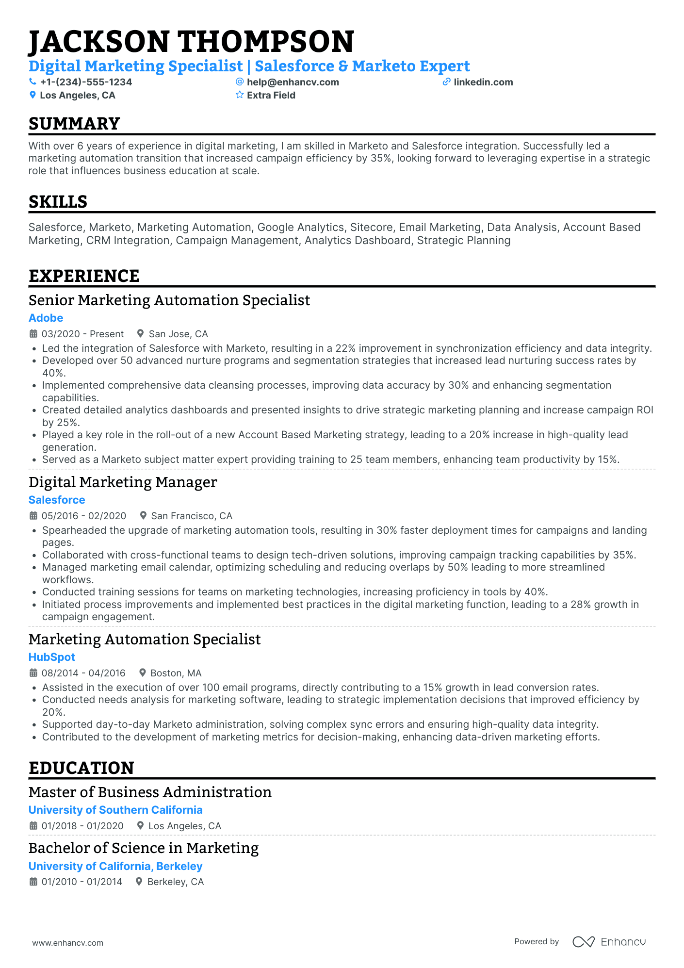 Associate Digital Marketing Executive Resume Example