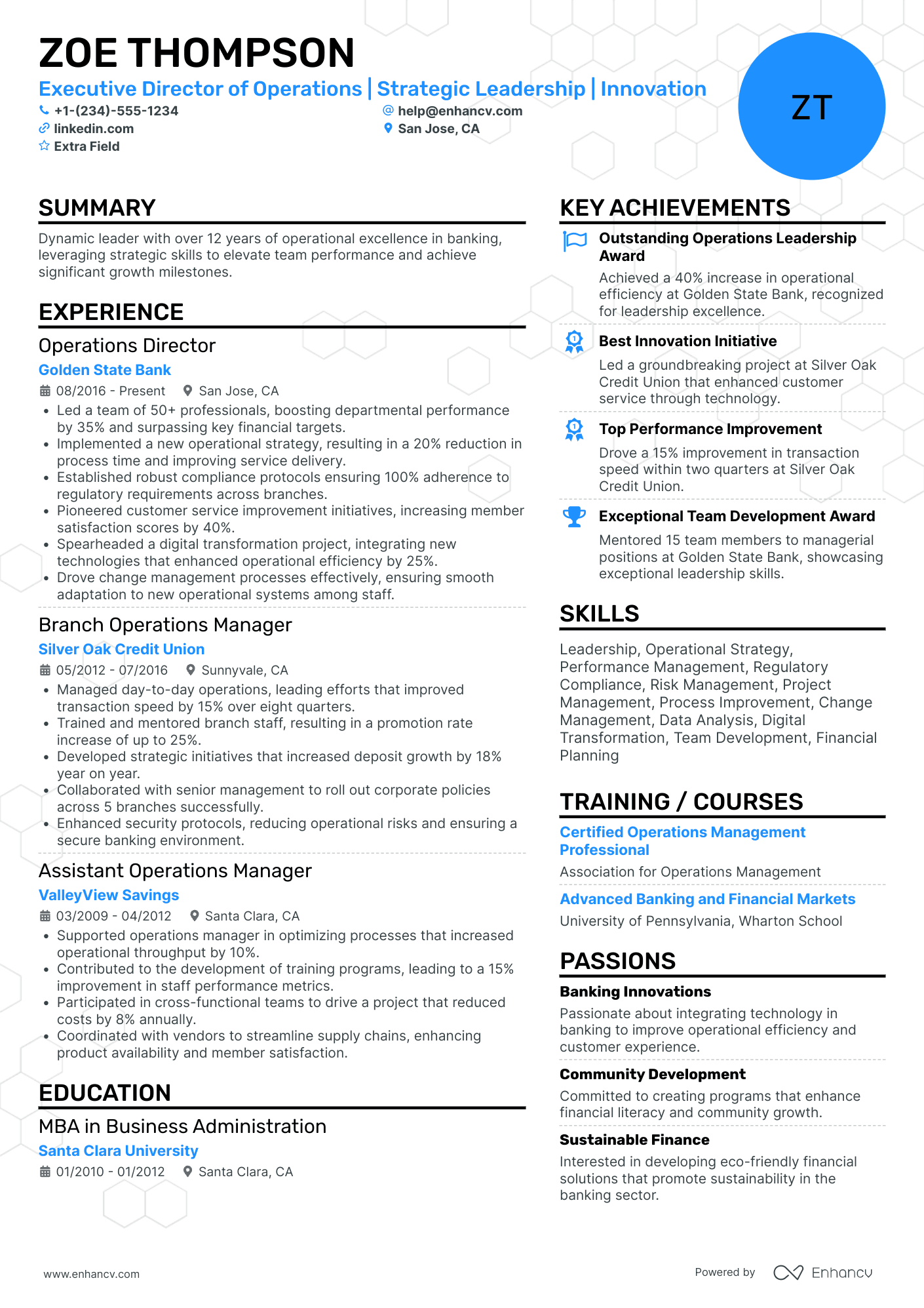 Executive Director of Operations Resume Example