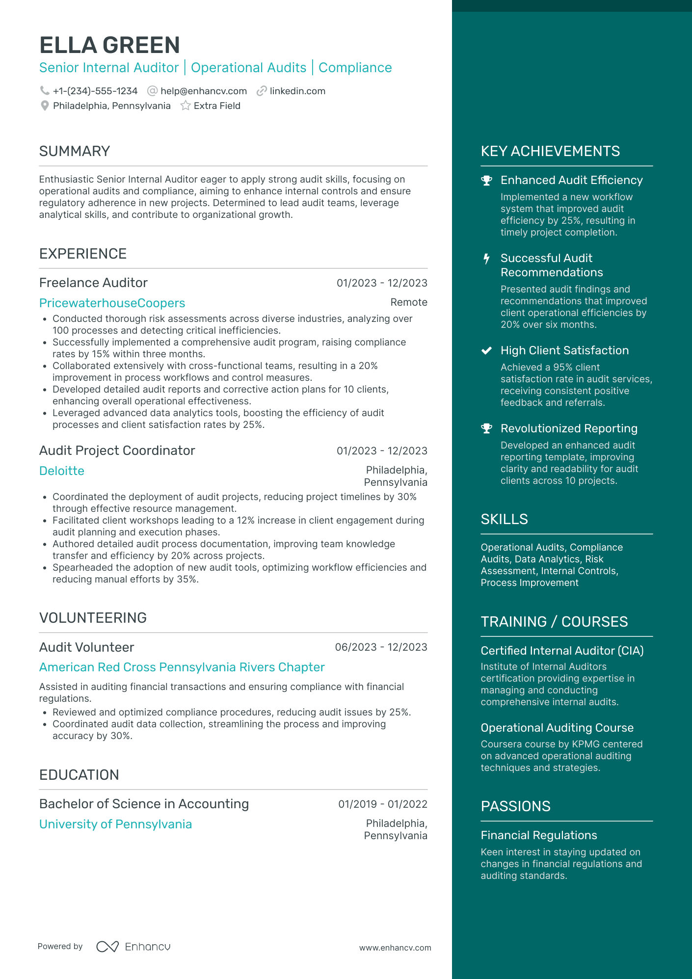 Senior Internal Auditor Resume Example