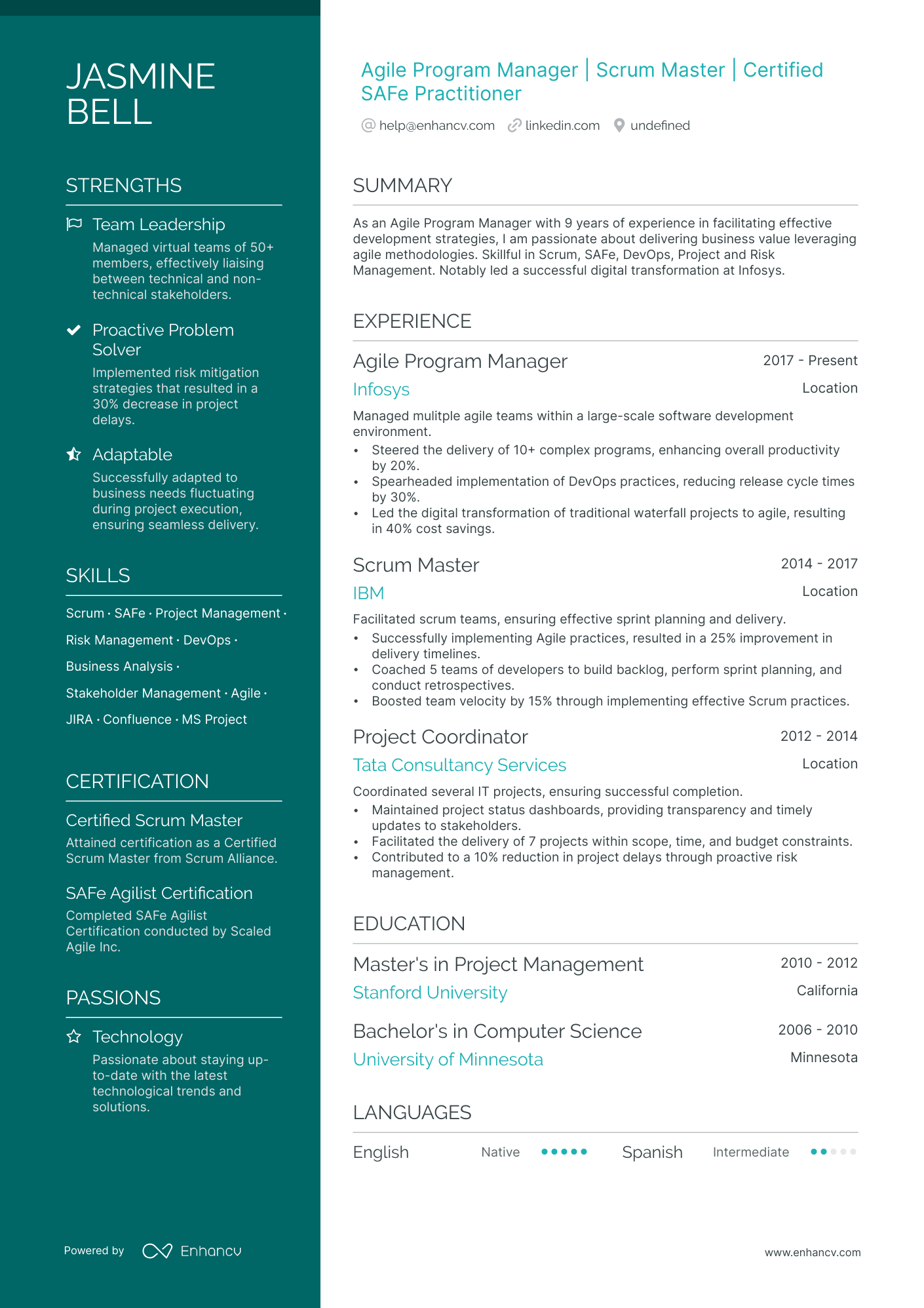 Agile Program Manager Resume Example