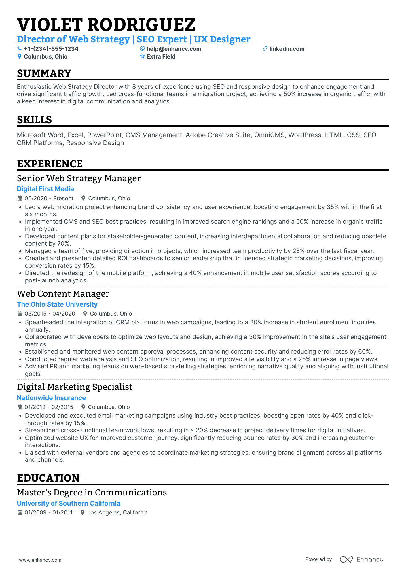 Web Design Director Resume Example